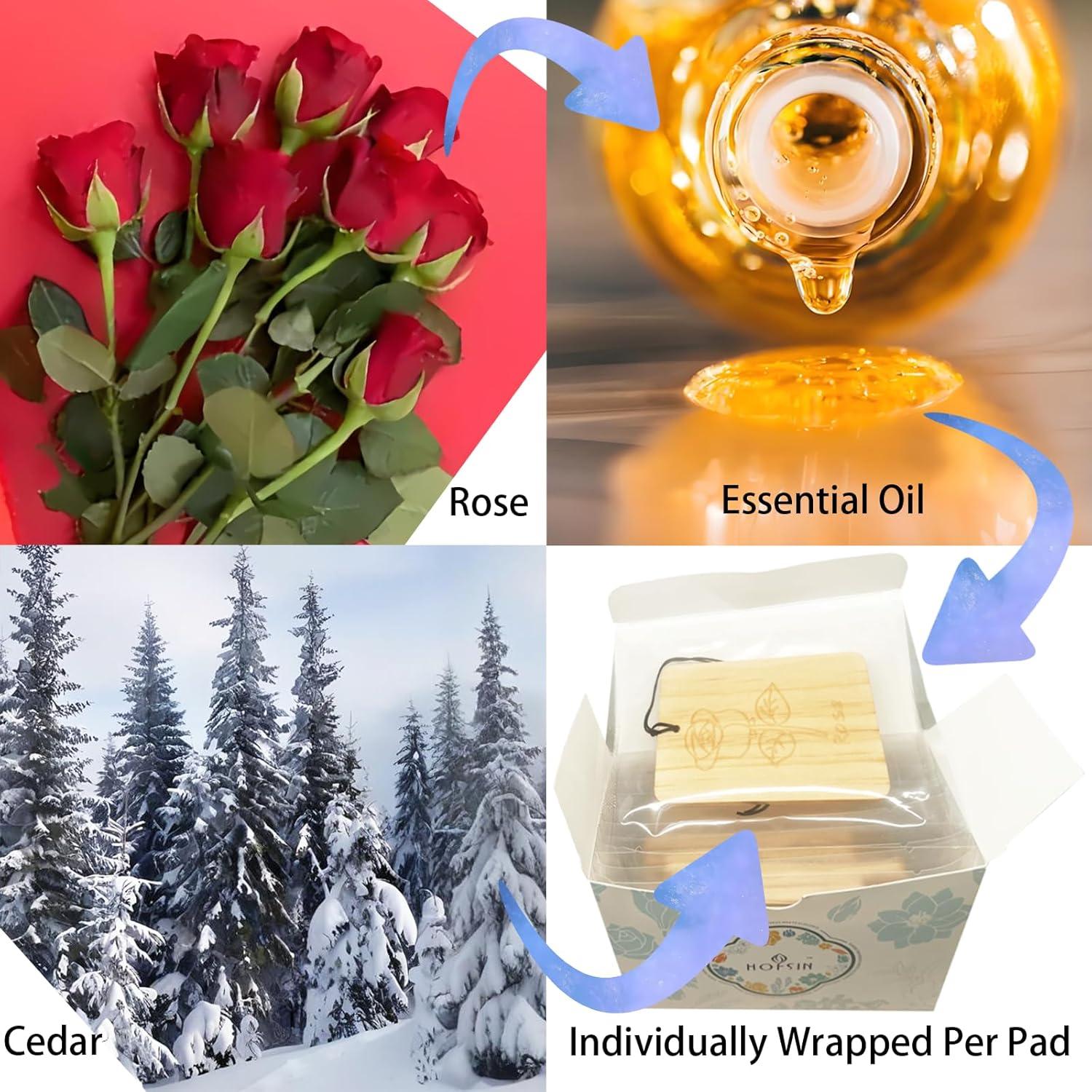 Tarjetas de Fragancia de Madera HOFSIN 12 Pcs Rosa
