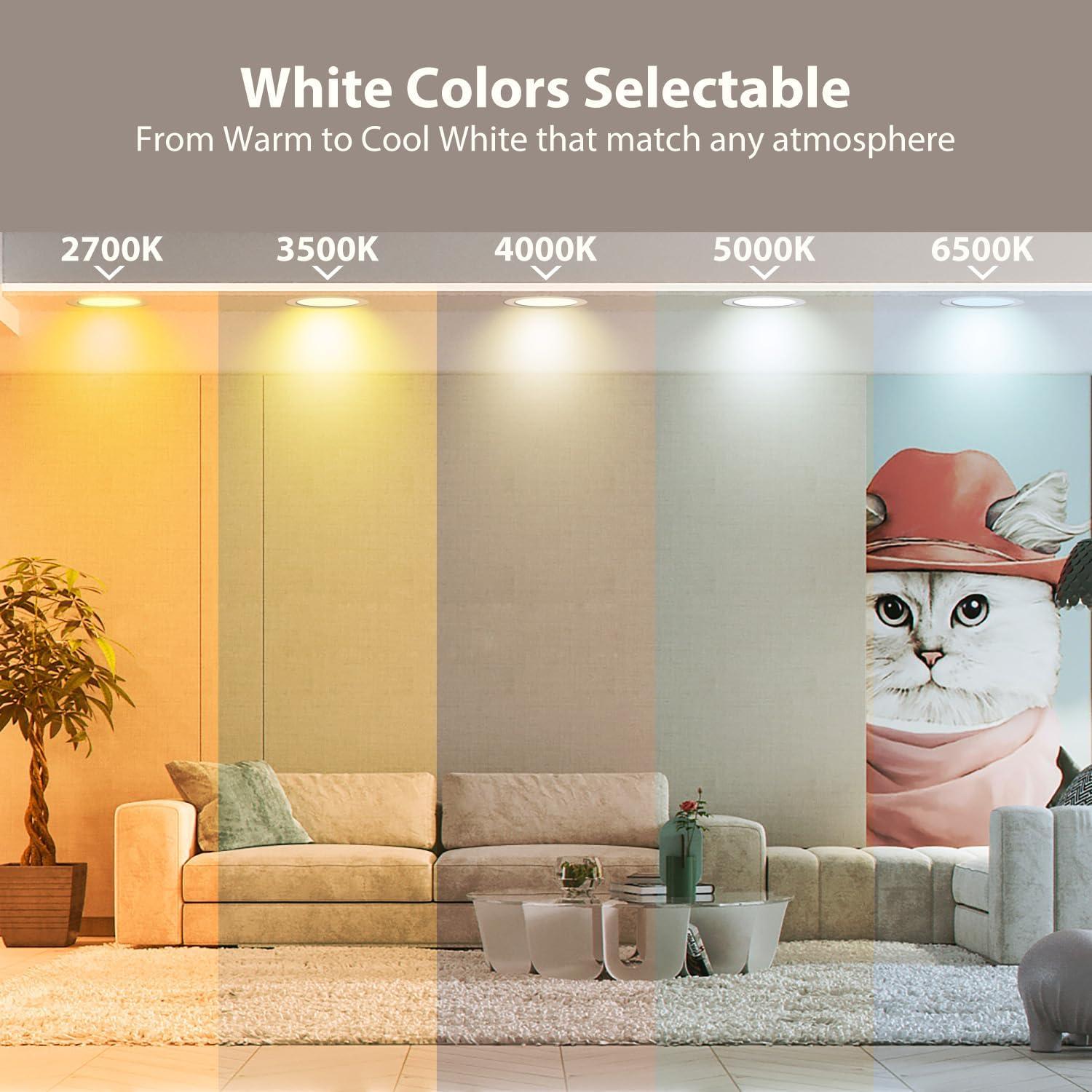 Luz de Techo Inteligente WiFi DAYBETTER 6" Regulable LED