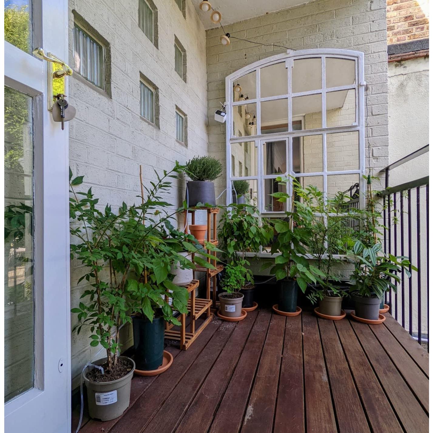 Kit de Riego Solar Automático Lewisia 10W para 50 Plantas