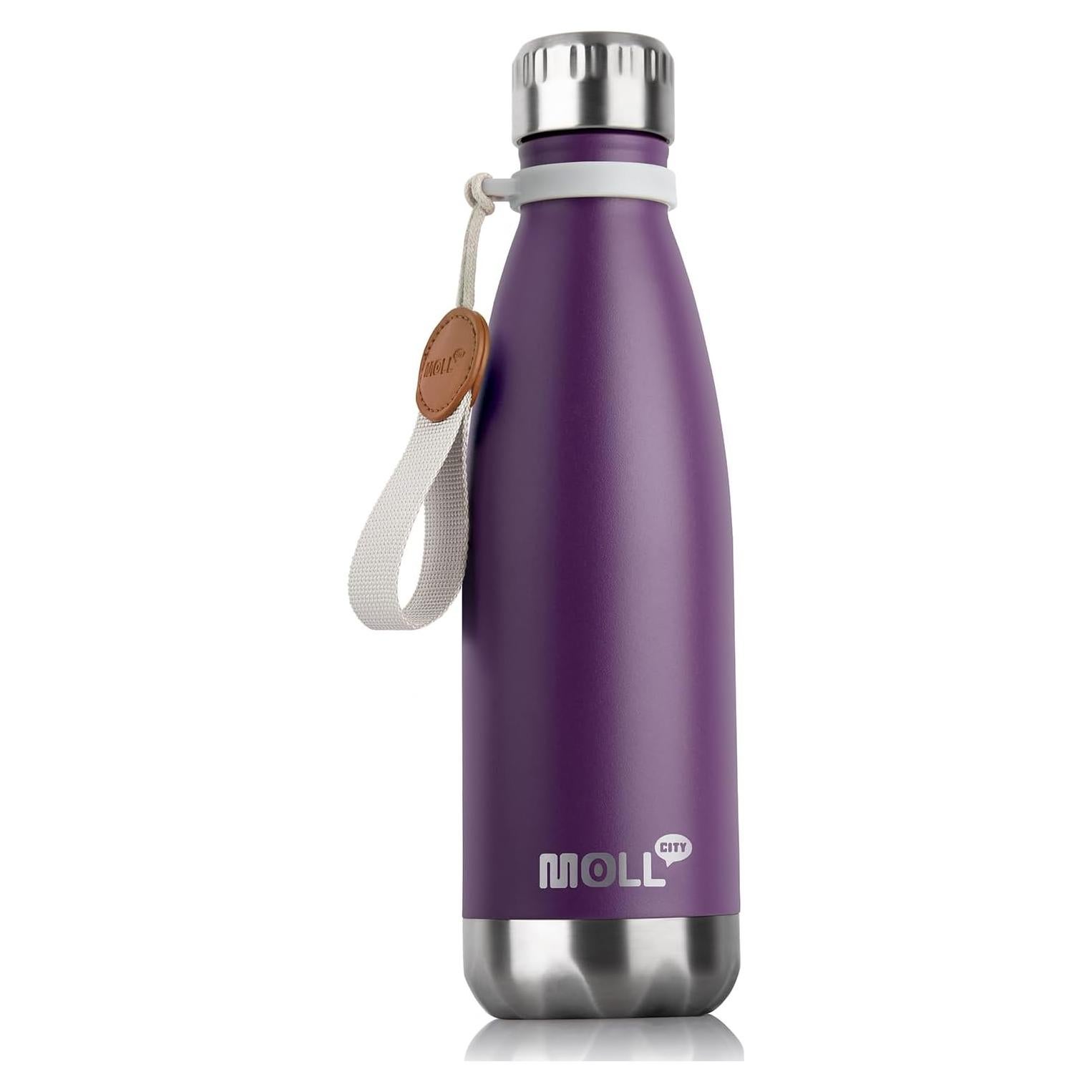 Botella de Agua 502 ml Mollcity Acero Inoxidable Aislada