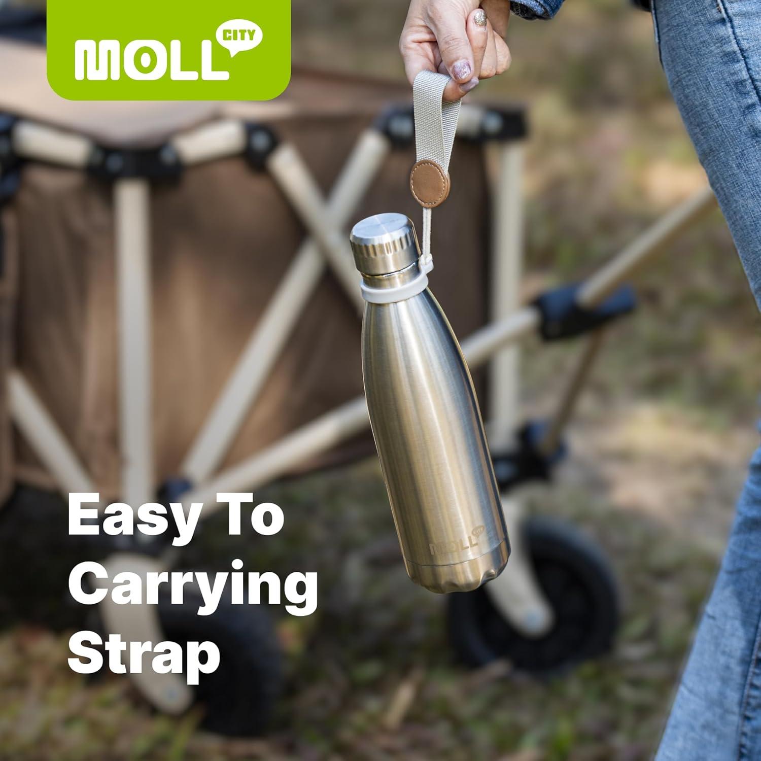 Botella de Agua 502 ml Mollcity Acero Inoxidable Aislada