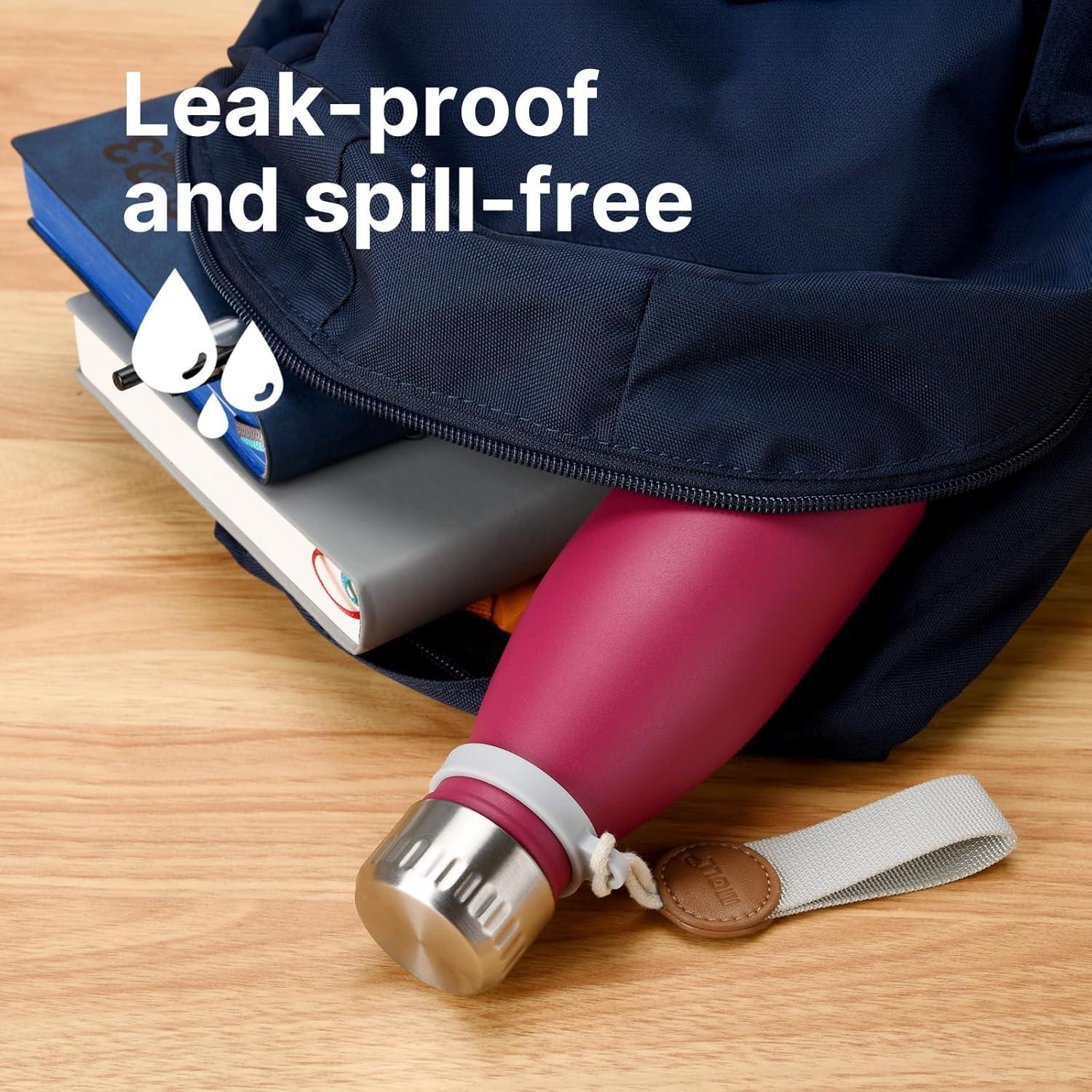 Botella de Agua 502 ml Mollcity Acero Inoxidable Aislada