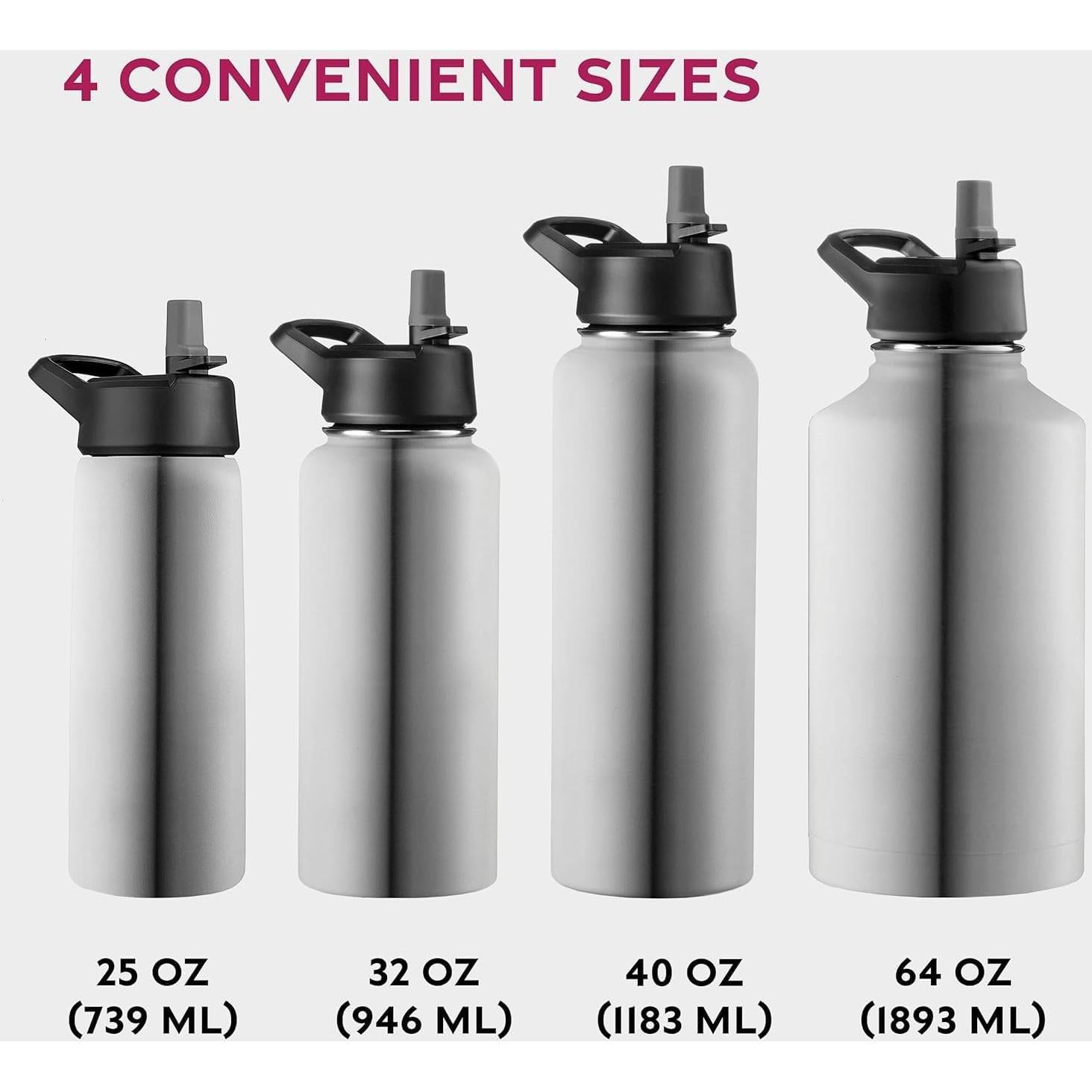Botella de Agua Aislada BREFR 25 Oz Acero Inoxidable Plateado