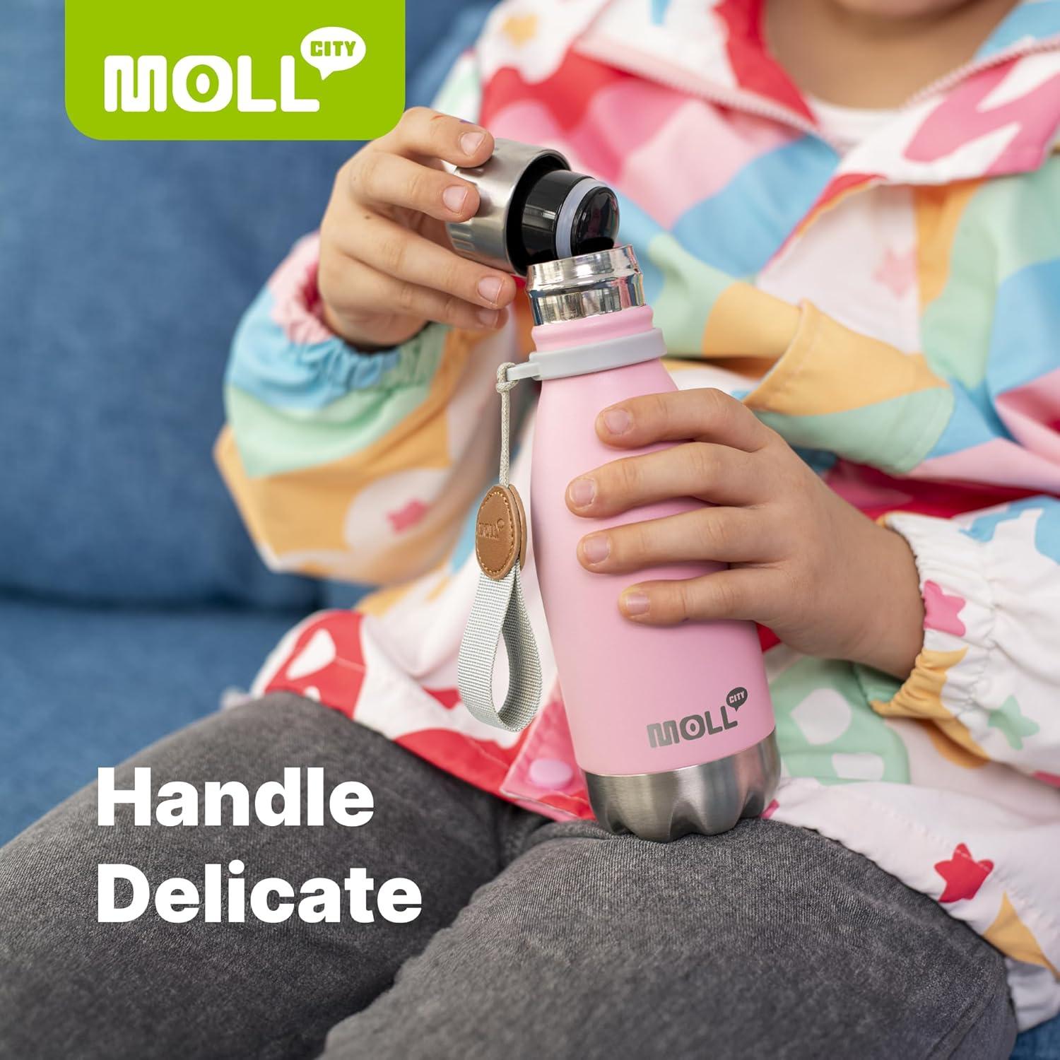 Botella de Agua Reutilizable Mollcity 355 ml Aislada Púrpura