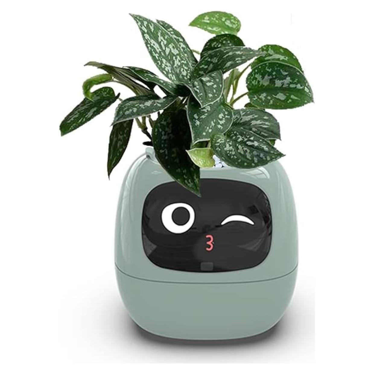 Maceta Inteligente Itigoitie Verde 11.4x10 cm con Sensores