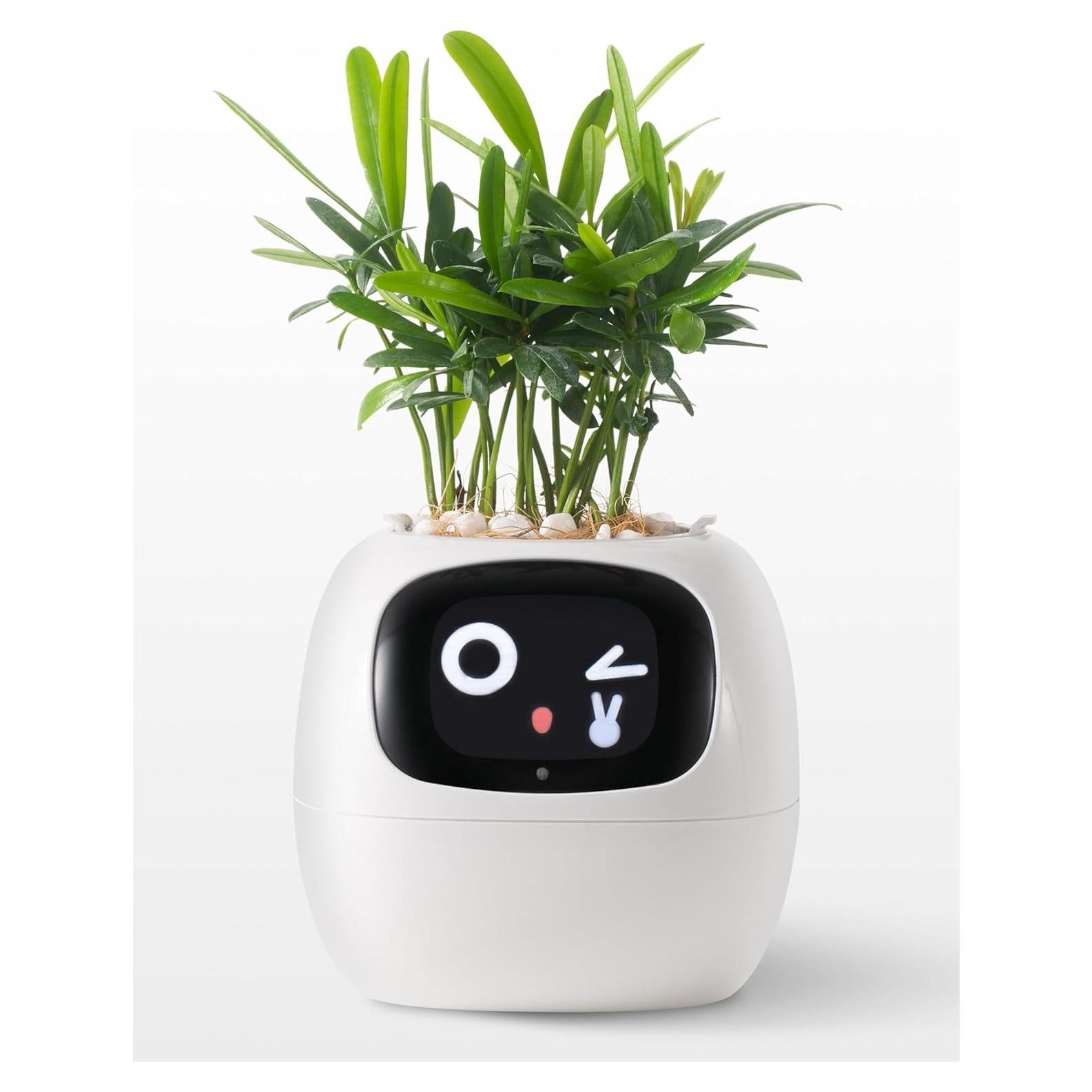 Maceta Inteligente Moltrion Plantagotchi AI - Blanco, 11.4cm