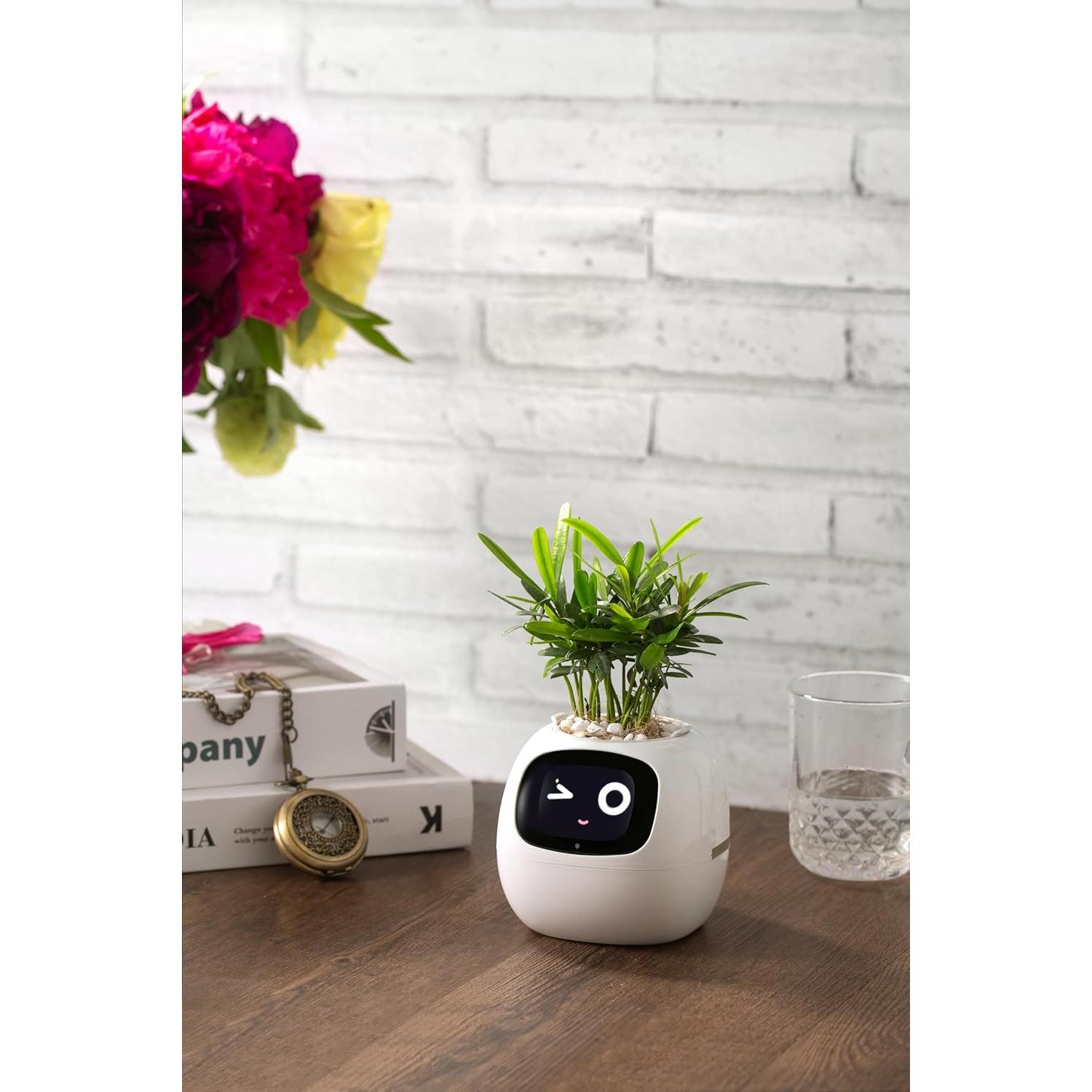 Maceta Inteligente Moltrion Plantagotchi AI - Blanco, 11.4cm