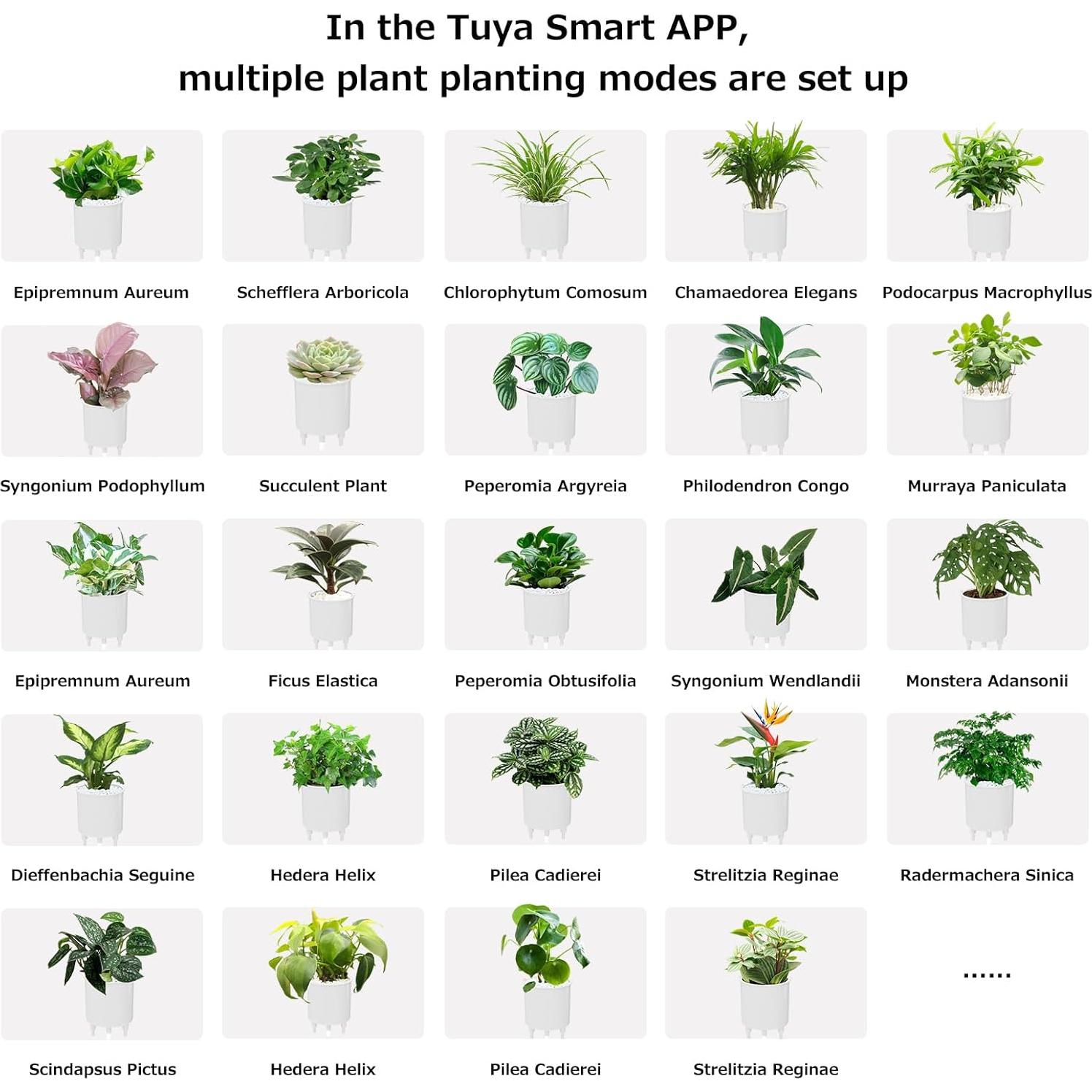 Maceta Inteligente TPHRAVAL Blanca con Sensor y APP