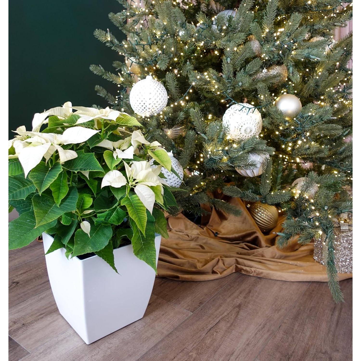 Maceta Cuadrada Autorriego HC Companies 25.4 cm Blanco Mate - 2 Pzas