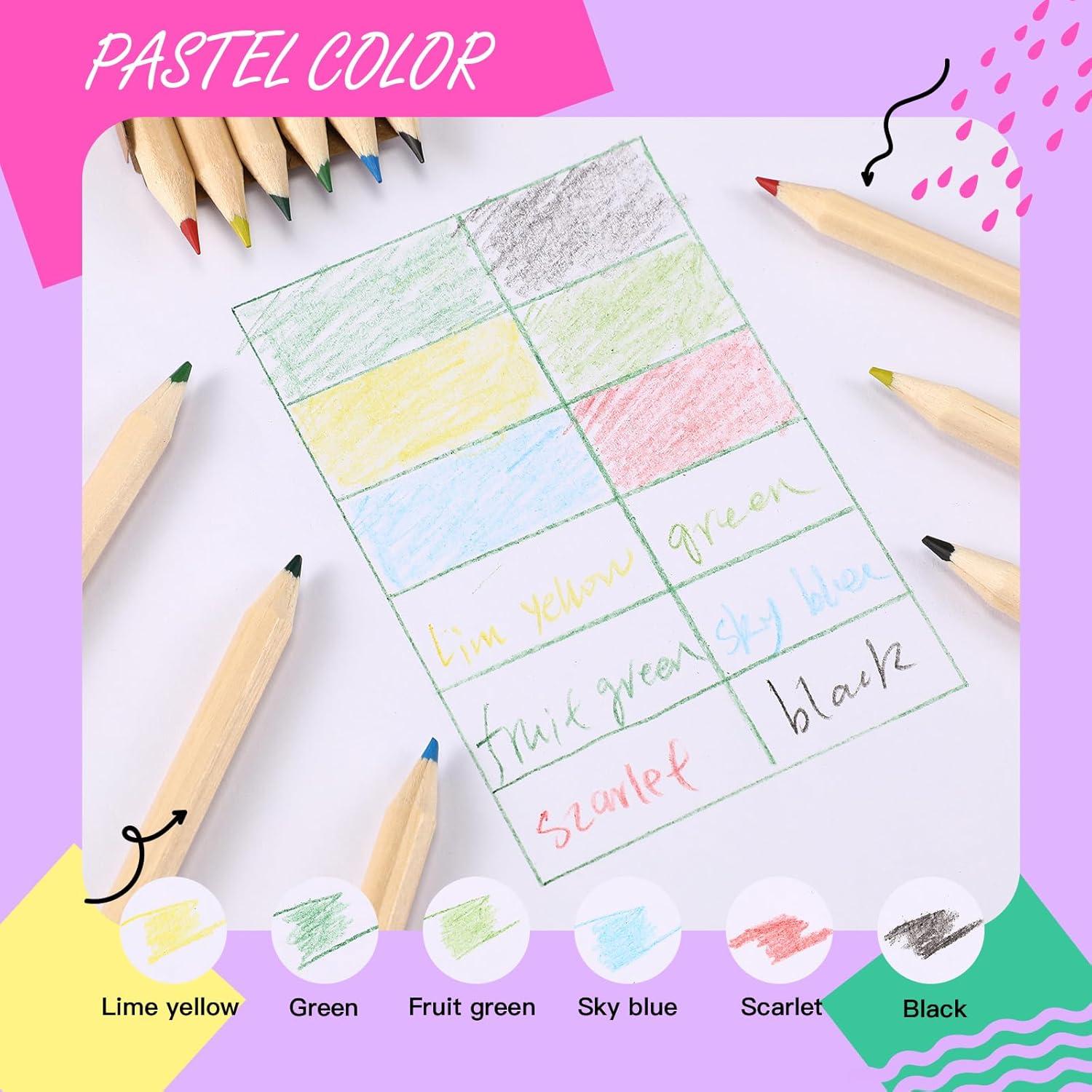 Lápices de Colores Faccito 100 Cajas 6 Colores 8.89 cm