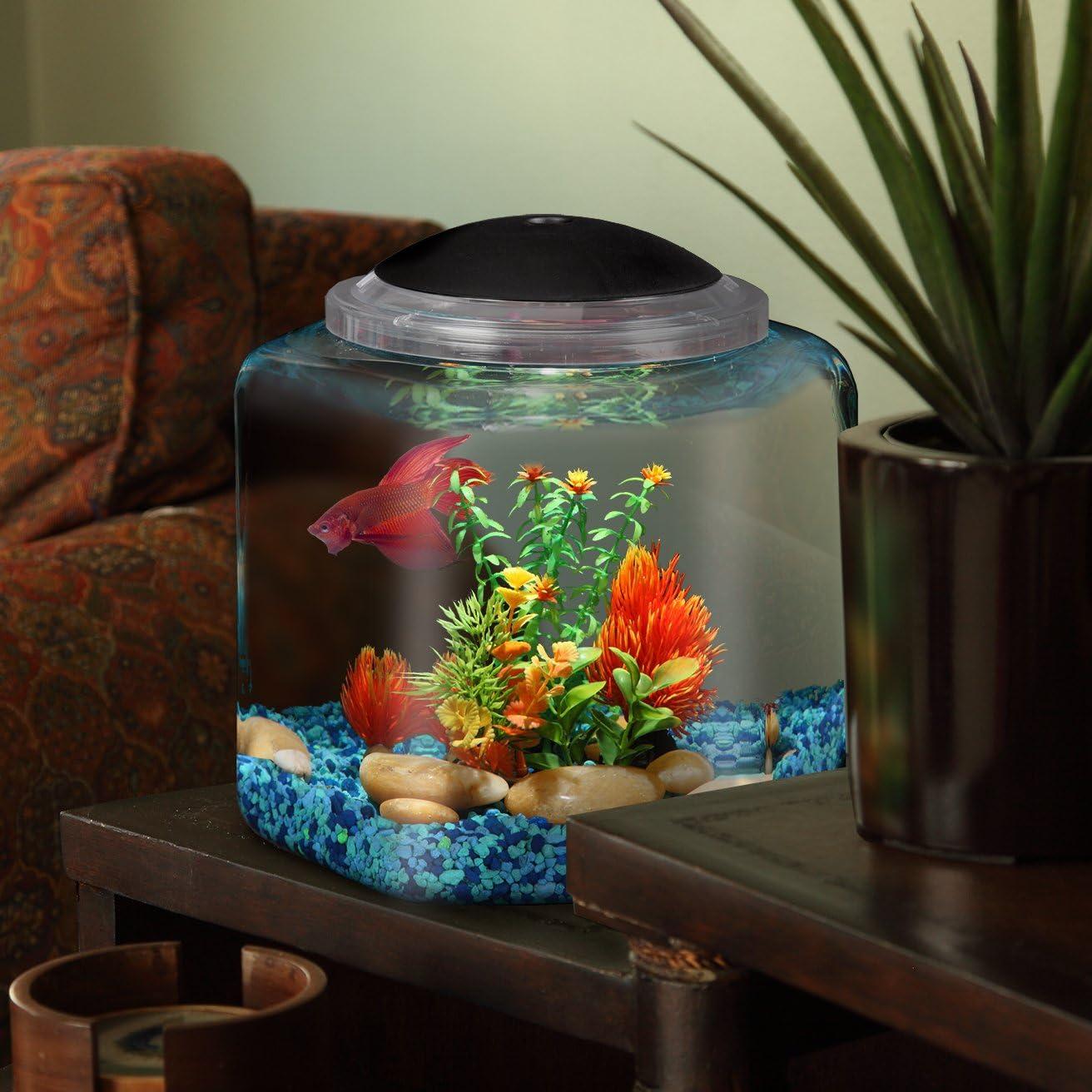 Acuario Koller Products 22L Hex BettaTank con LED