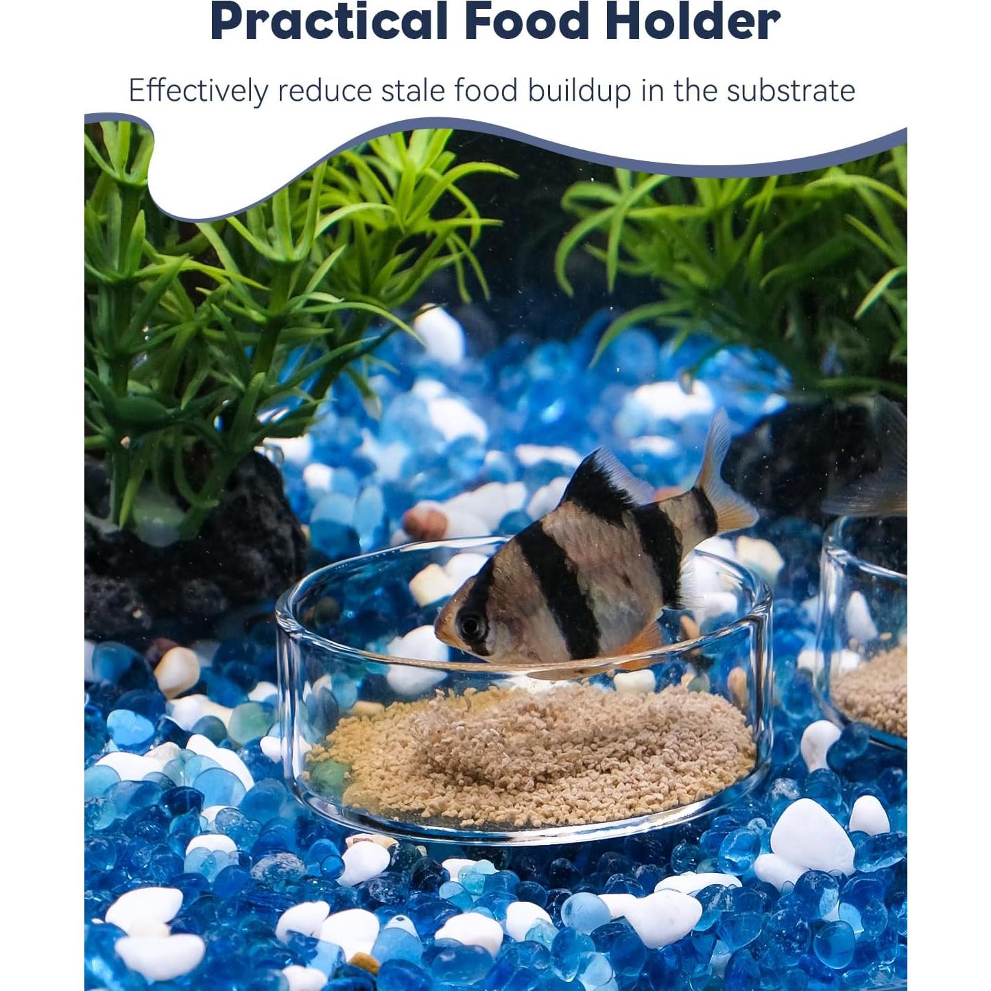 Plato de Alimentación Pawfly de Vidrio para Camarones 7.5cm