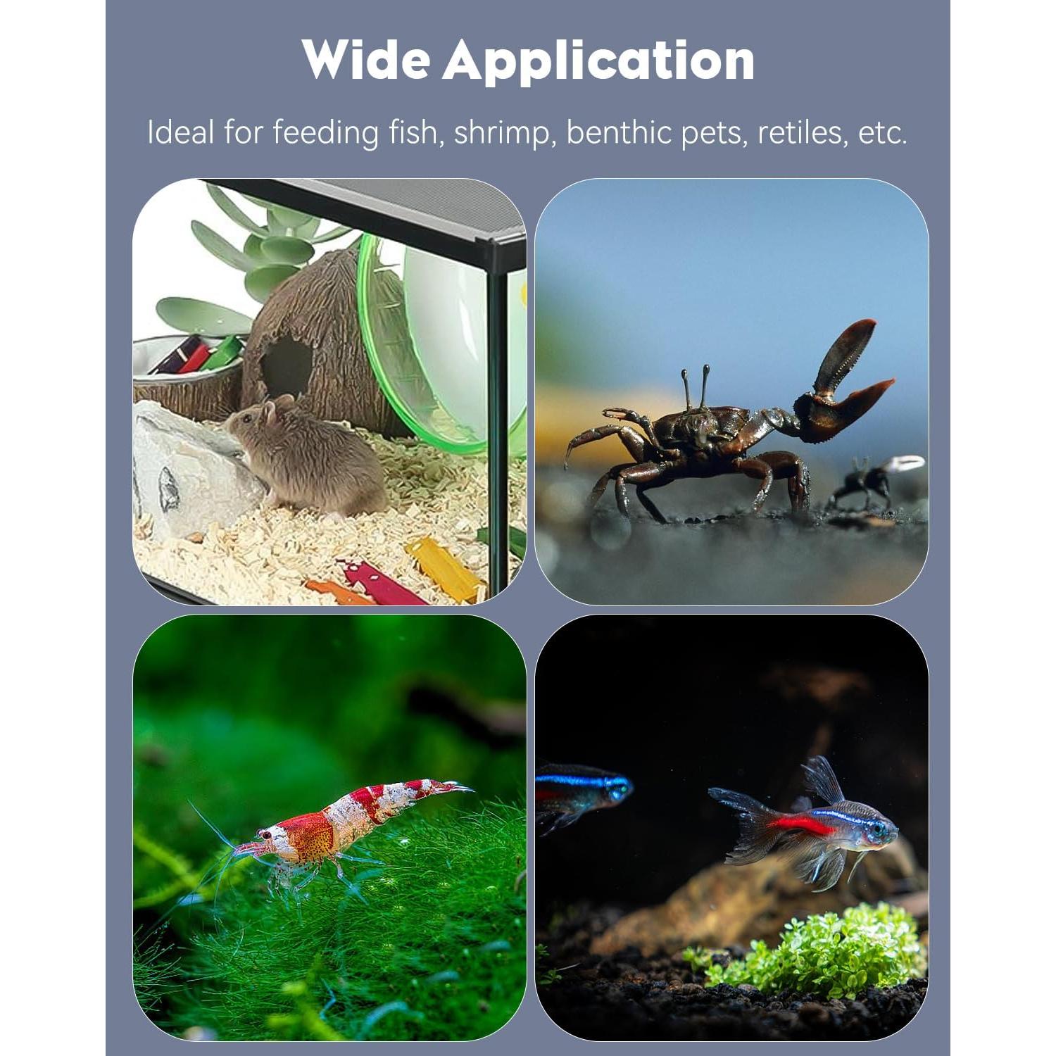 Plato de Alimentación Pawfly de Vidrio para Camarones 7.5cm