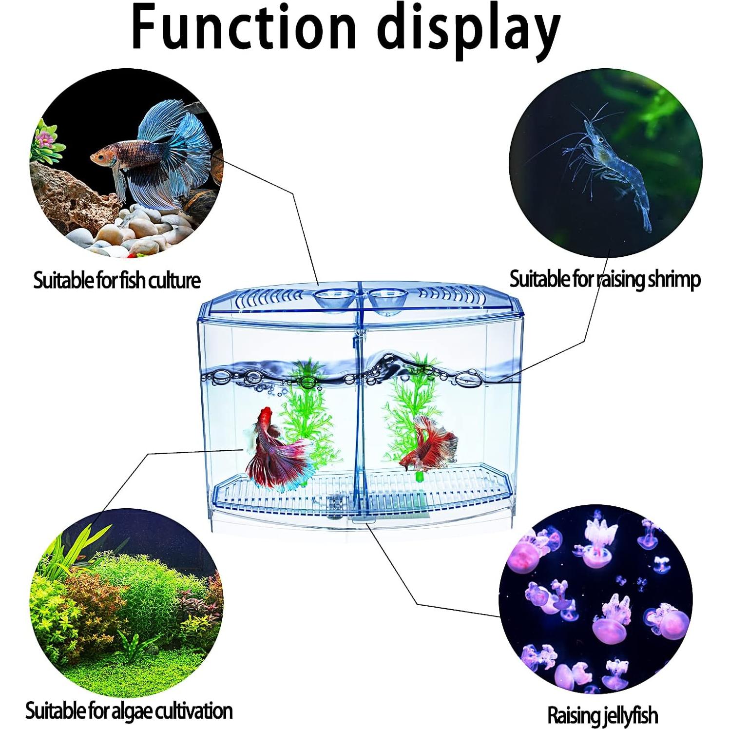 Mini Acuario Doble Compartimento Yobiisolut 0.76L Acrílico