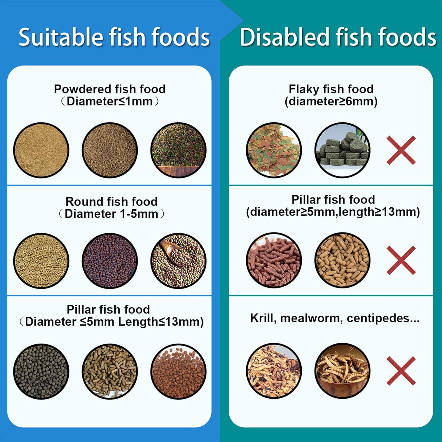 Comedero Automático para Peces BEUTFQL con Cámara HD 2K