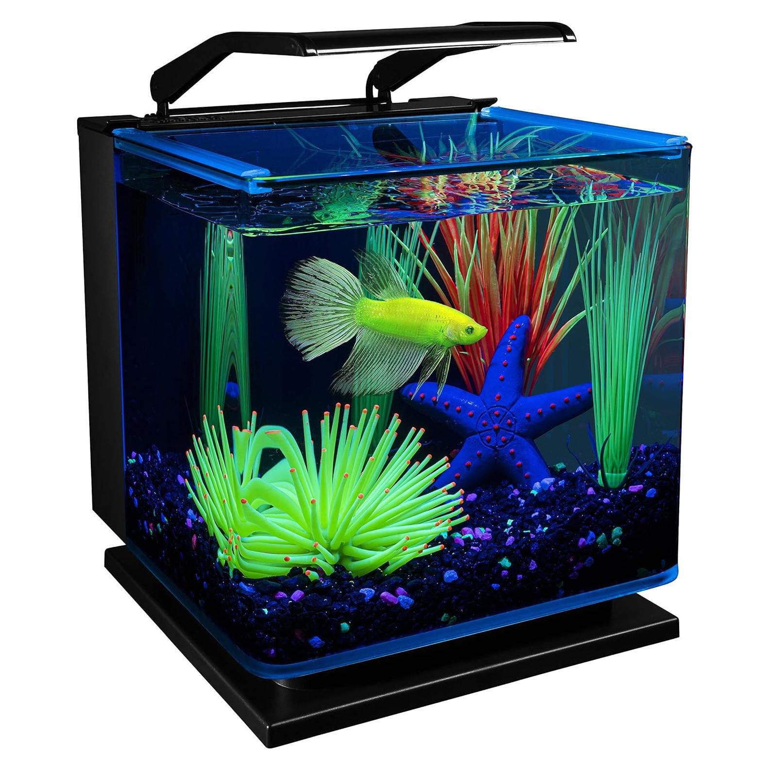 Kit Acuario GloFish Betta 11.36L con LED y Filtro Tetra