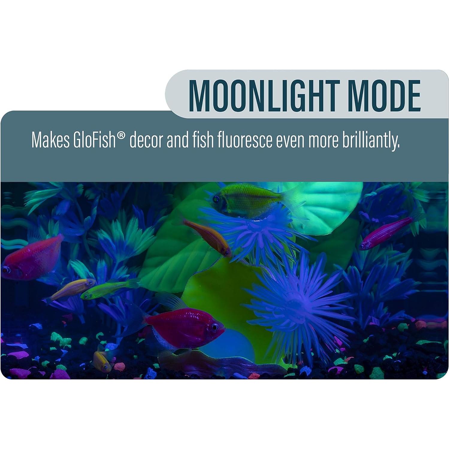 Kit Acuario GloFish Betta 11.36L con LED y Filtro Tetra