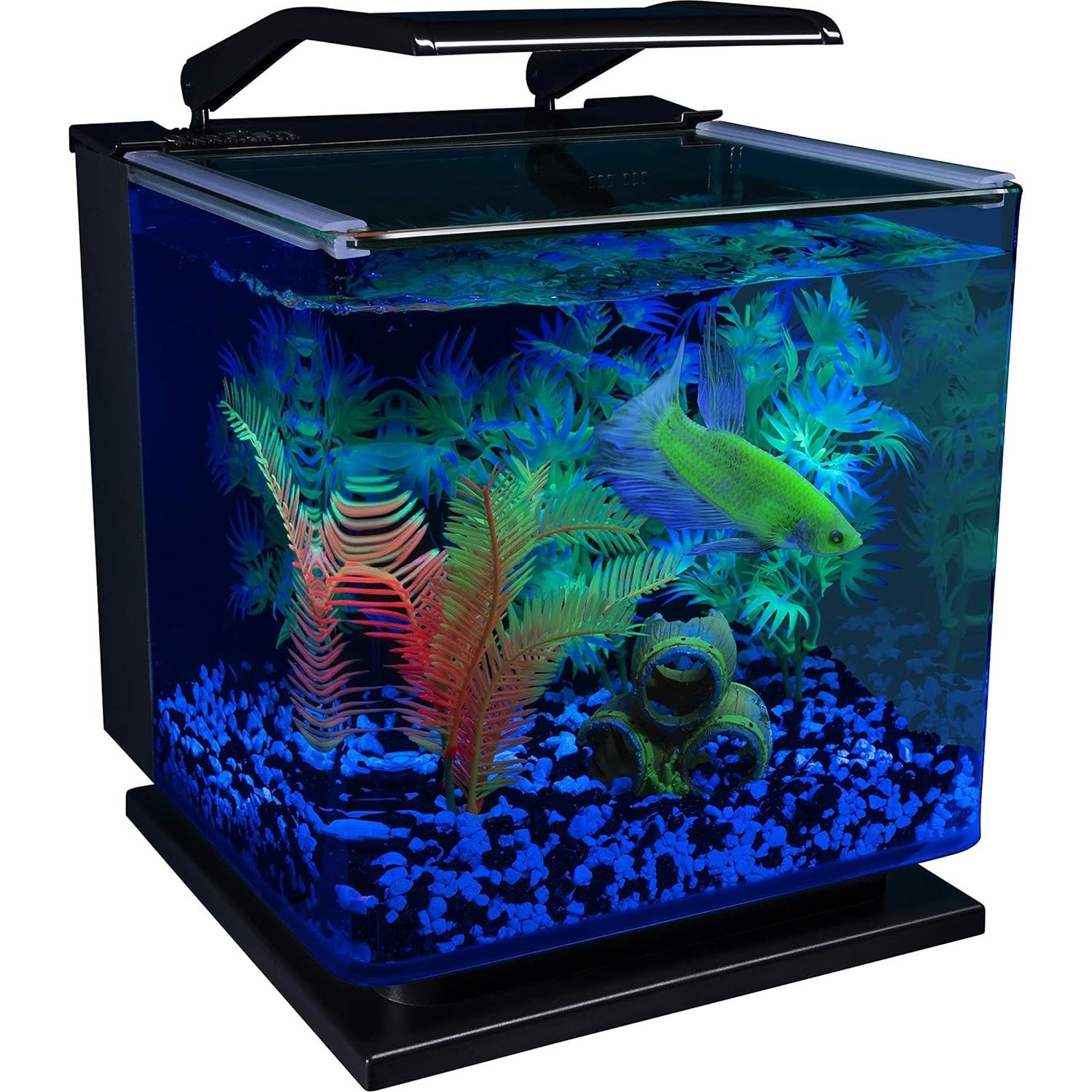 Kit Acuario GloFish Betta 11.36L con LED y Filtro Tetra