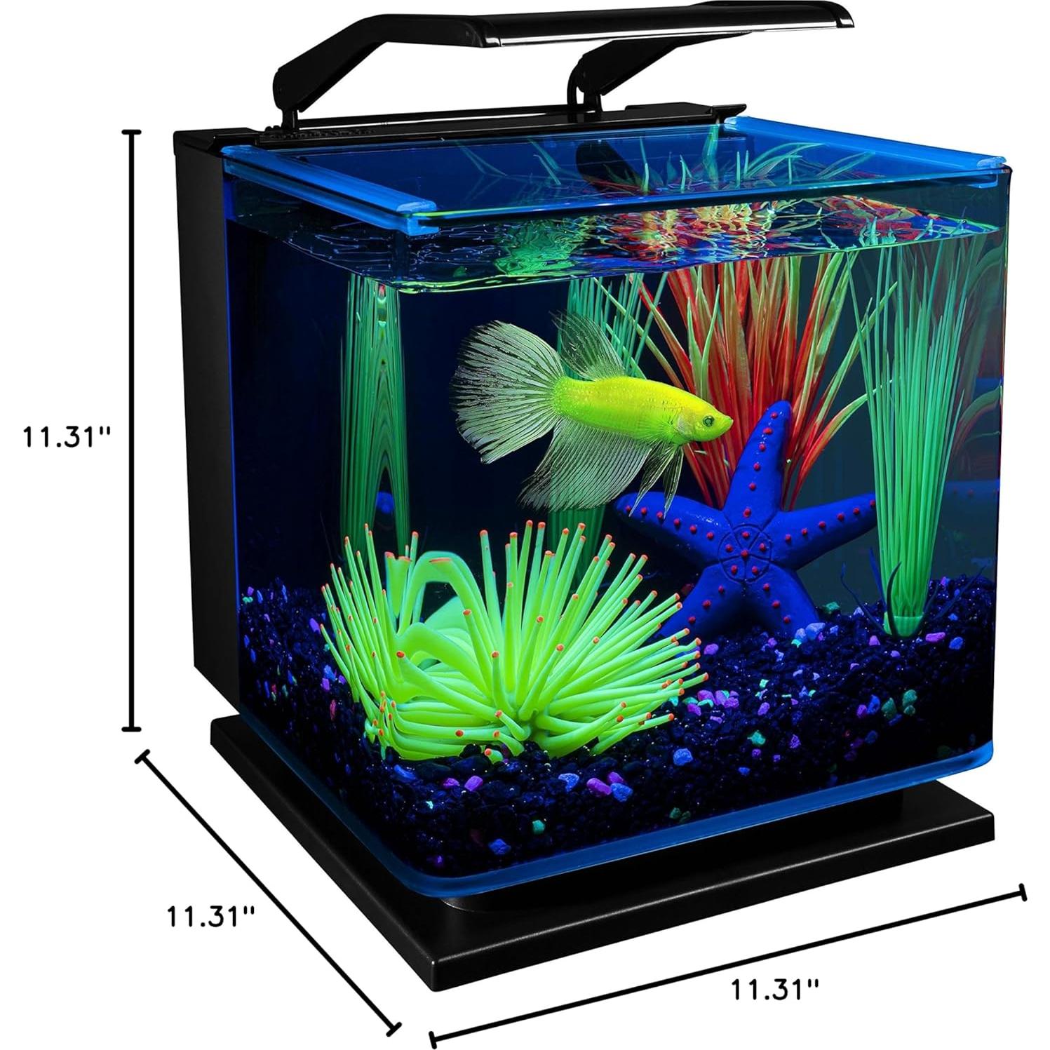 Kit Acuario GloFish Betta 11.36L con LED y Filtro Tetra