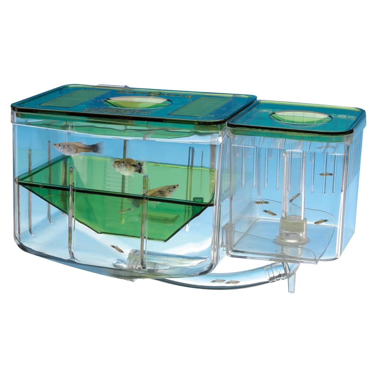 Caja de Cría Aqua Nursery Penn-Plax para Alevines 10x12.7x15.2 cm