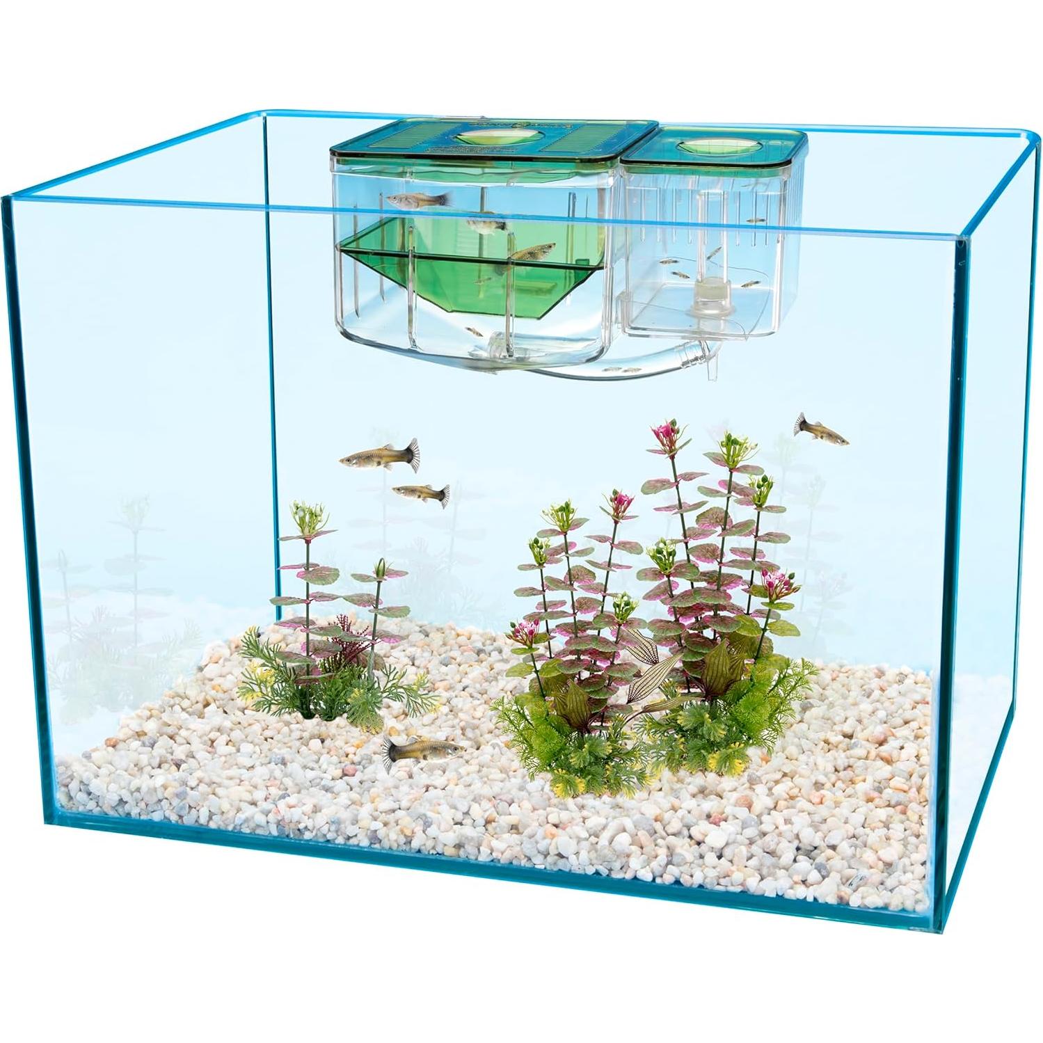 Caja de Cría Aqua Nursery Penn-Plax para Alevines 10x12.7x15.2 cm