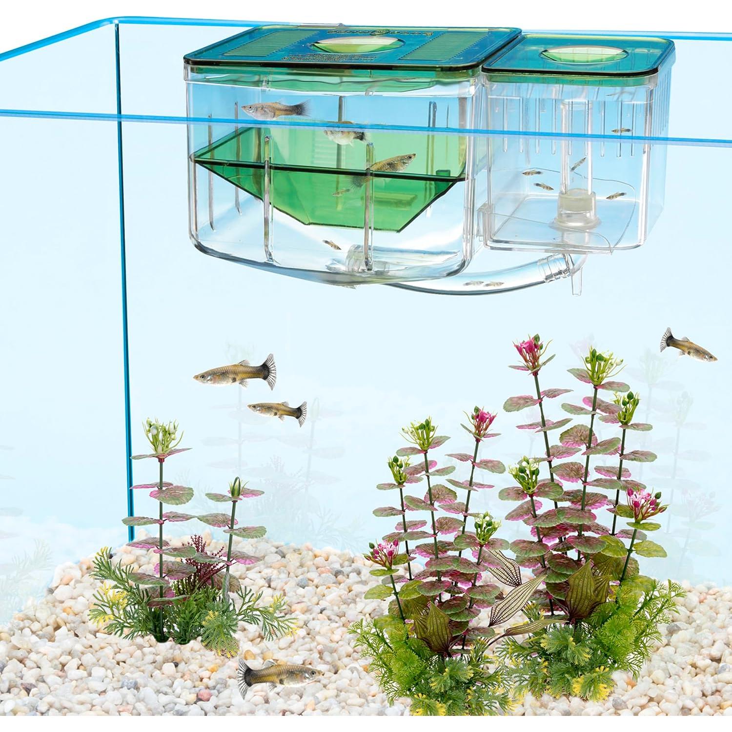 Caja de Cría Aqua Nursery Penn-Plax para Alevines 10x12.7x15.2 cm