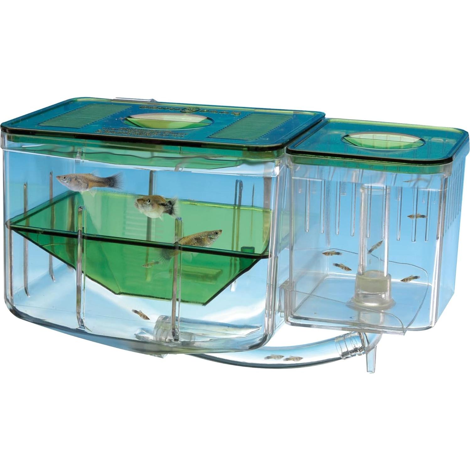 Caja de Cría Aqua Nursery Penn-Plax para Alevines 10x12.7x15.2 cm