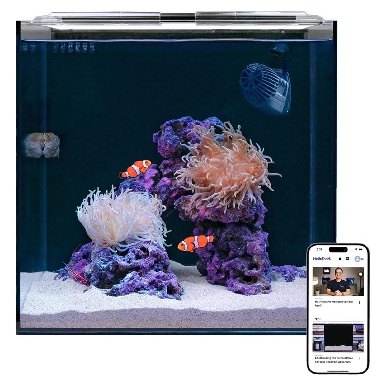 Kit Acuario Agua Salada 56.8L HelloReef con LED y Filtración