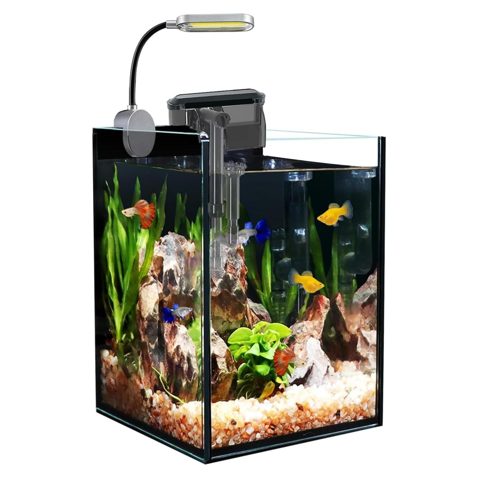Acuario de Vidrio Nano 1.5 Galones Craftsboys con Filtro y Luz LED