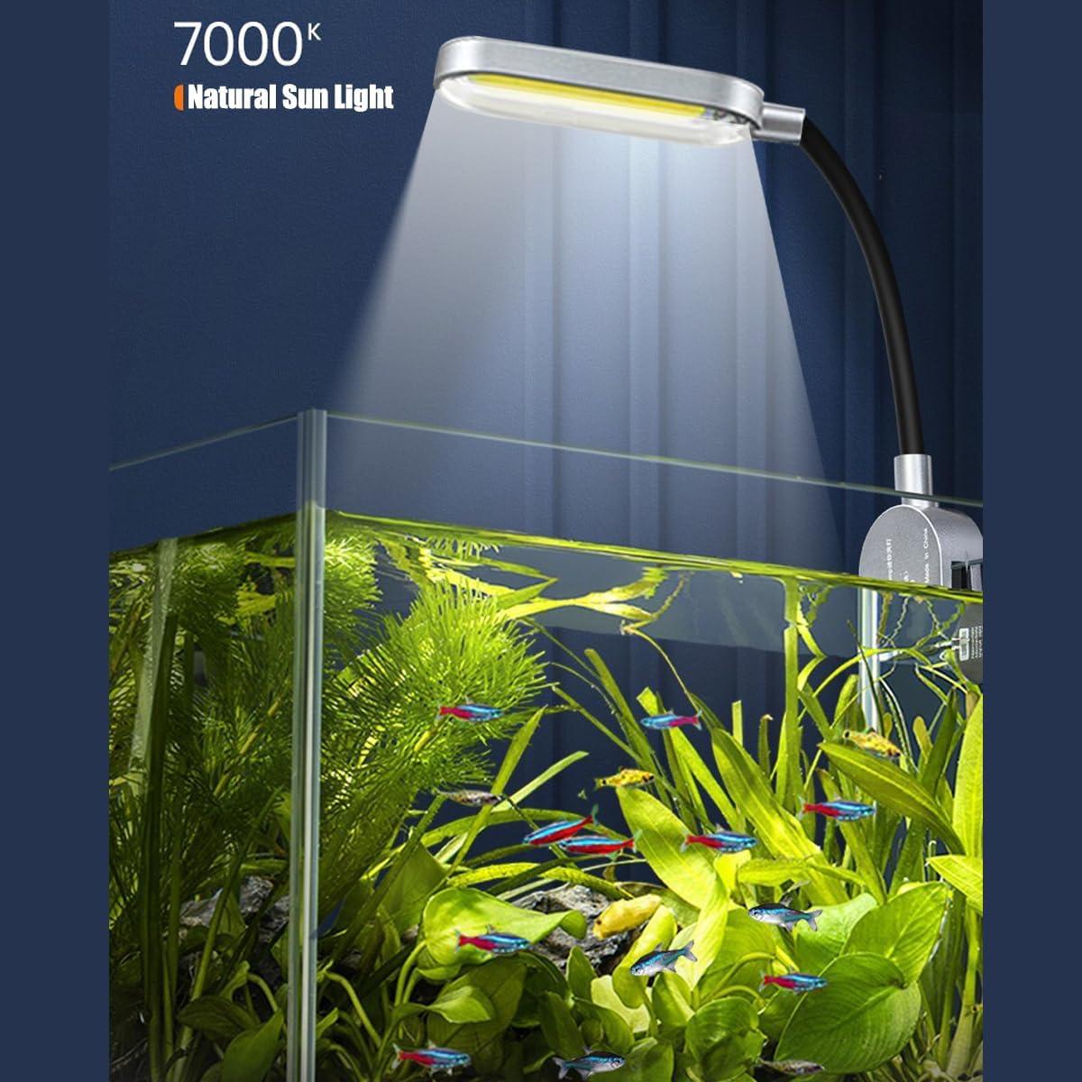 Acuario de Vidrio Nano 1.5 Galones Craftsboys con Filtro y Luz LED