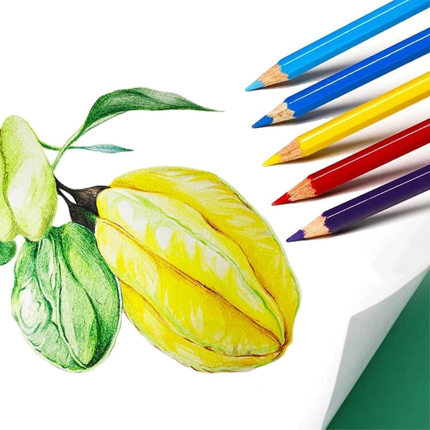 Lápices de Colores SKKSTATIONERY 50Pcs Multicolor 17.78cm