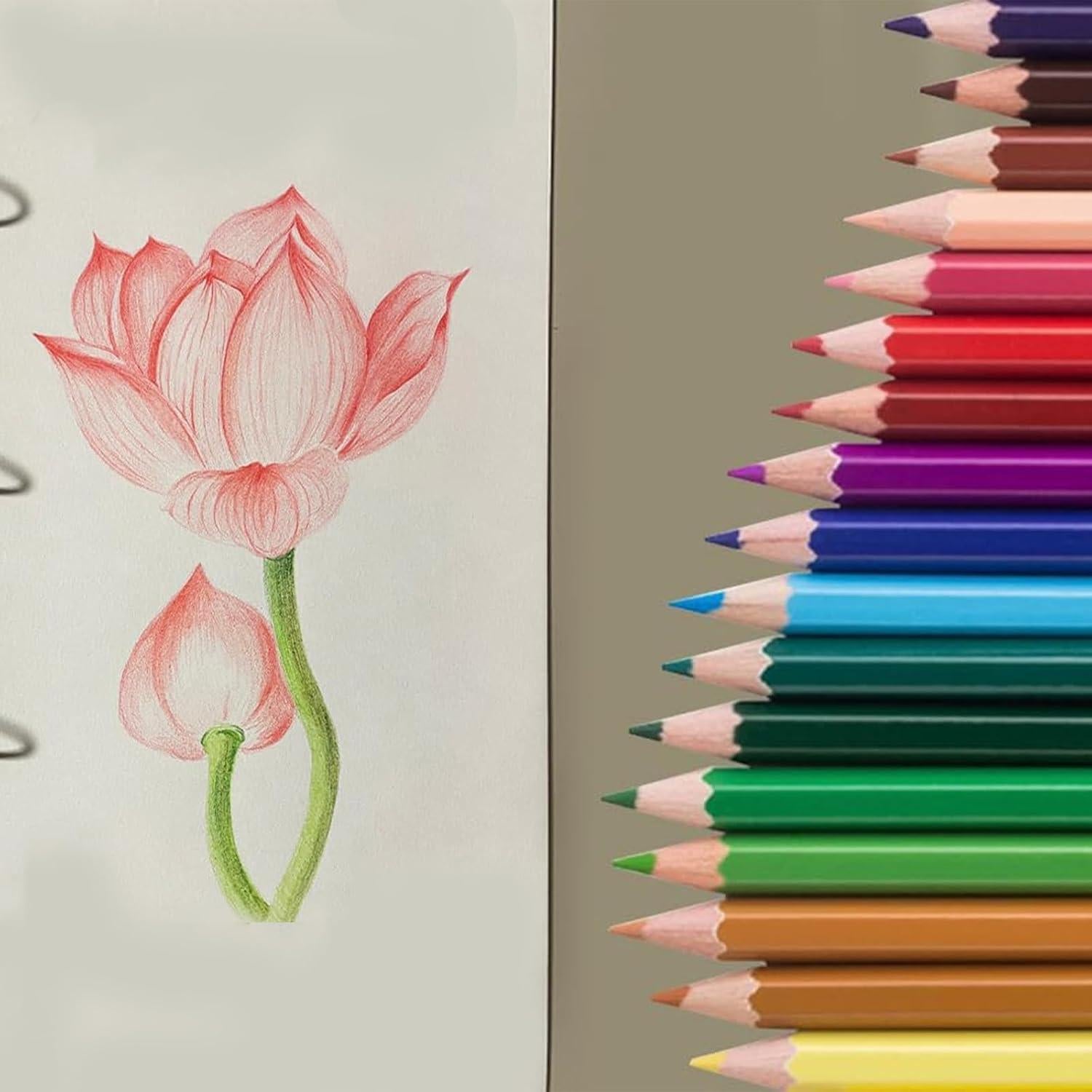 Lápices de Colores SKKSTATIONERY 50Pcs Multicolor 17.78cm