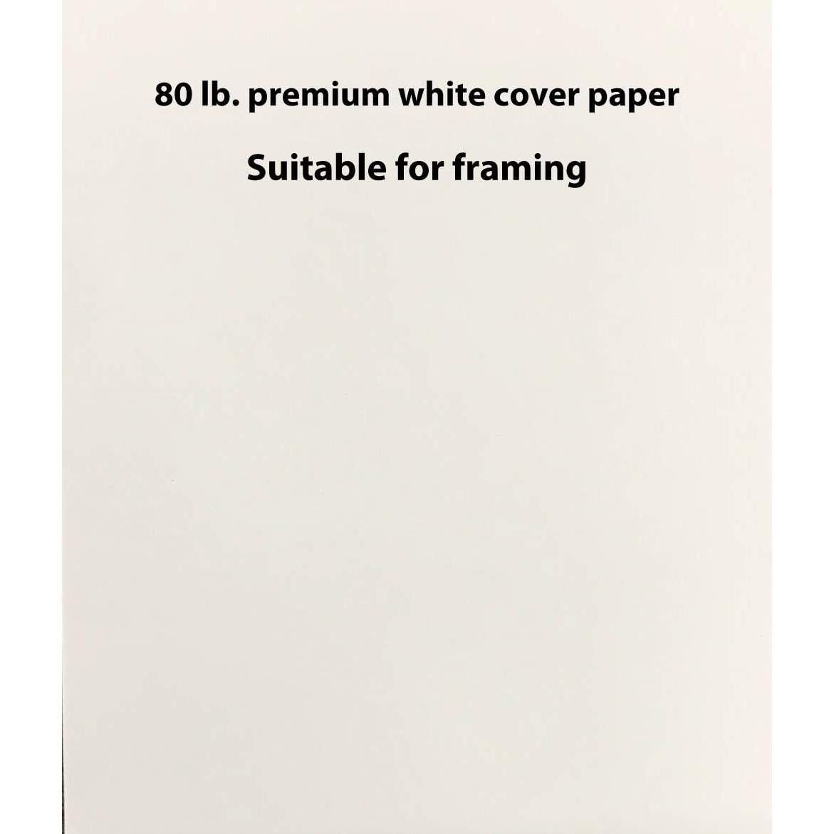 Kit de Pintura para Niños Memory Cross 4 Pinceles 18 Acuarelas