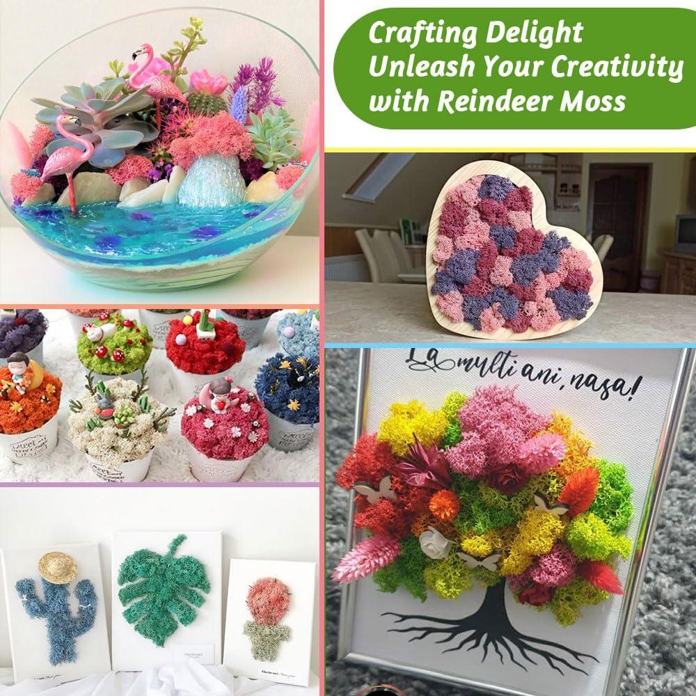 Musgo de Reno Conservado Azul 100 Gr para Manualidades y Decoración