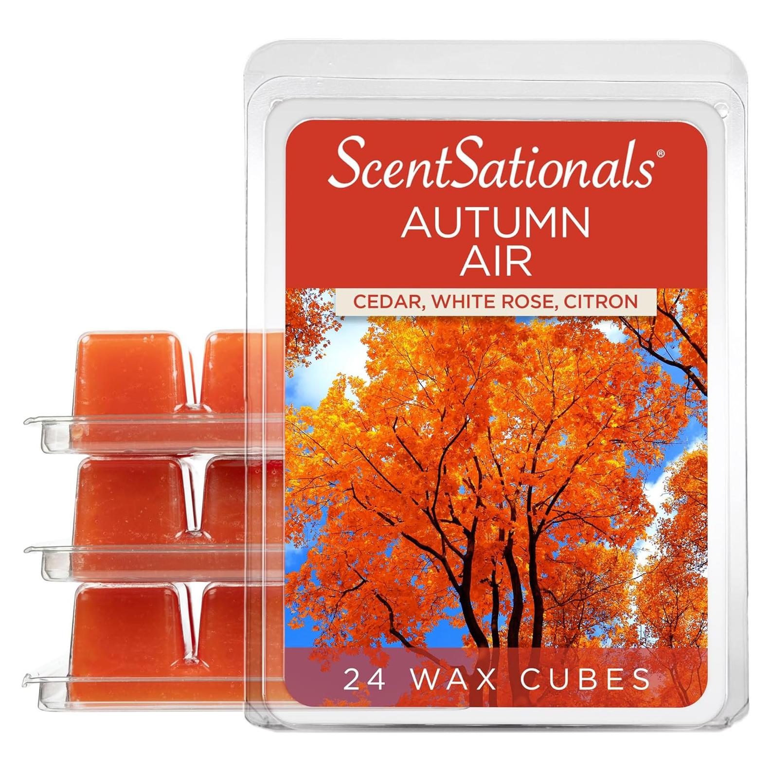 Cera Aromática ScentSationals Aire de Otoño 283.5g - 24 Cubos