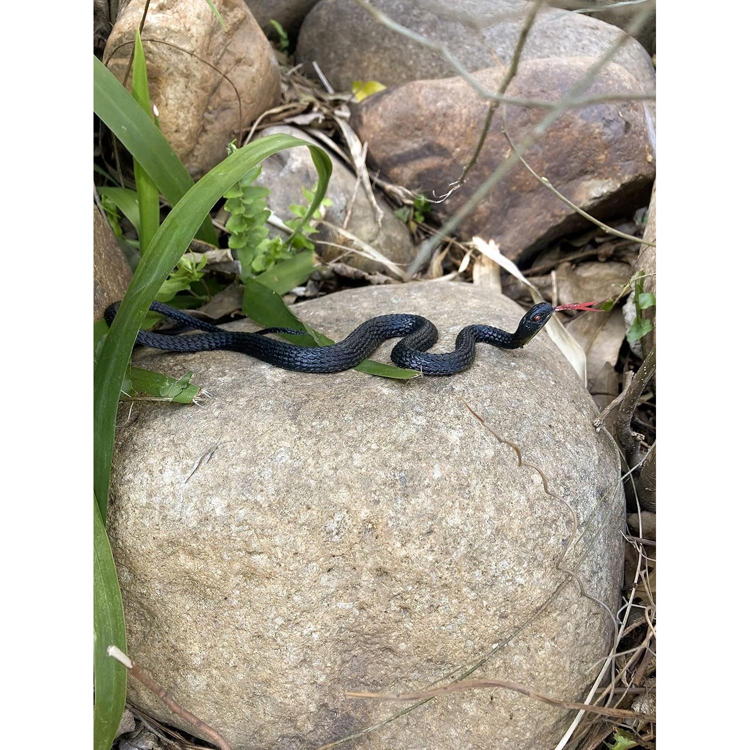 Juguete de Serpiente Falsa Realista HOHAJIU 10 PCS 24 cm