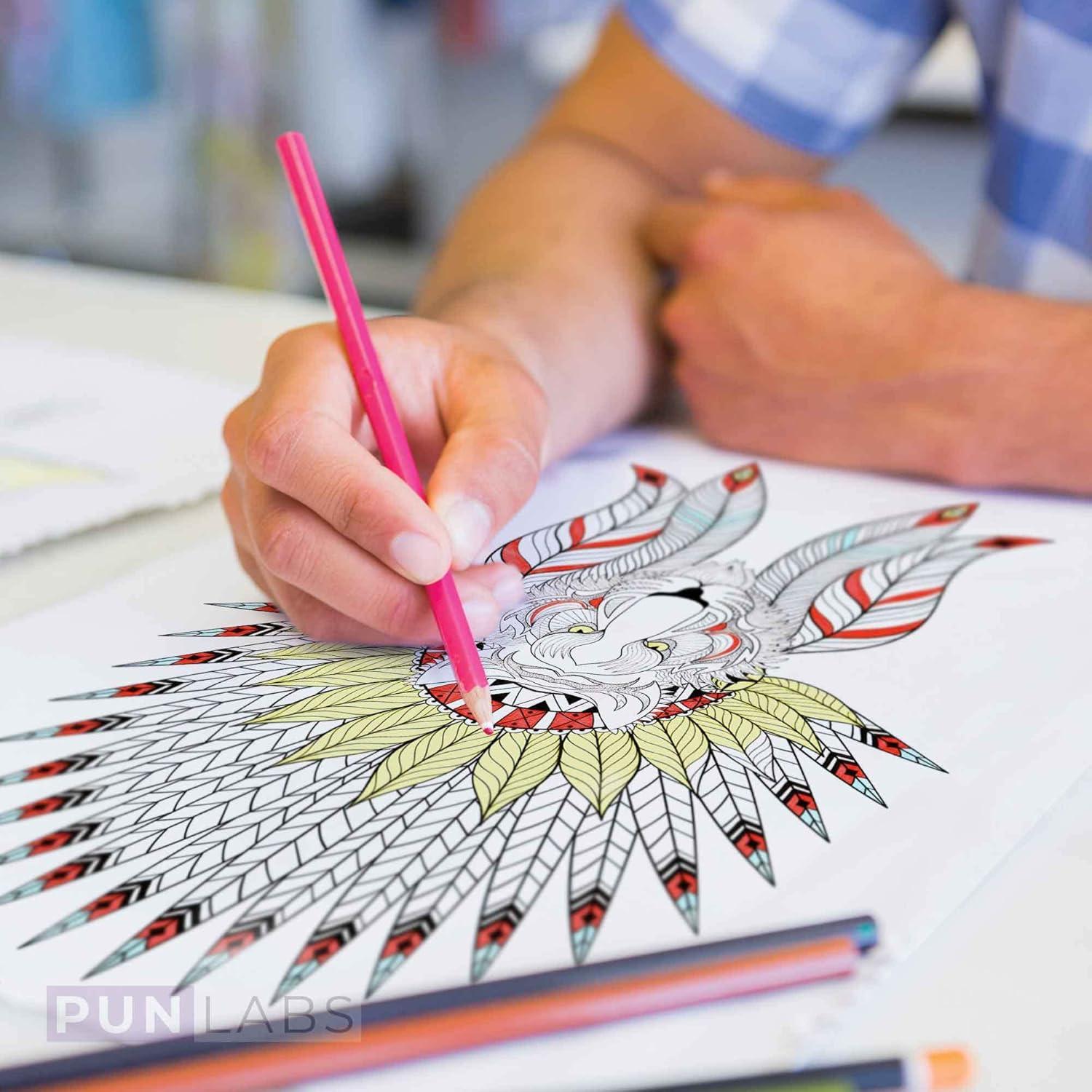 Conjunto de Lápices de Colores Gotta Color Them All - 12 Piezas