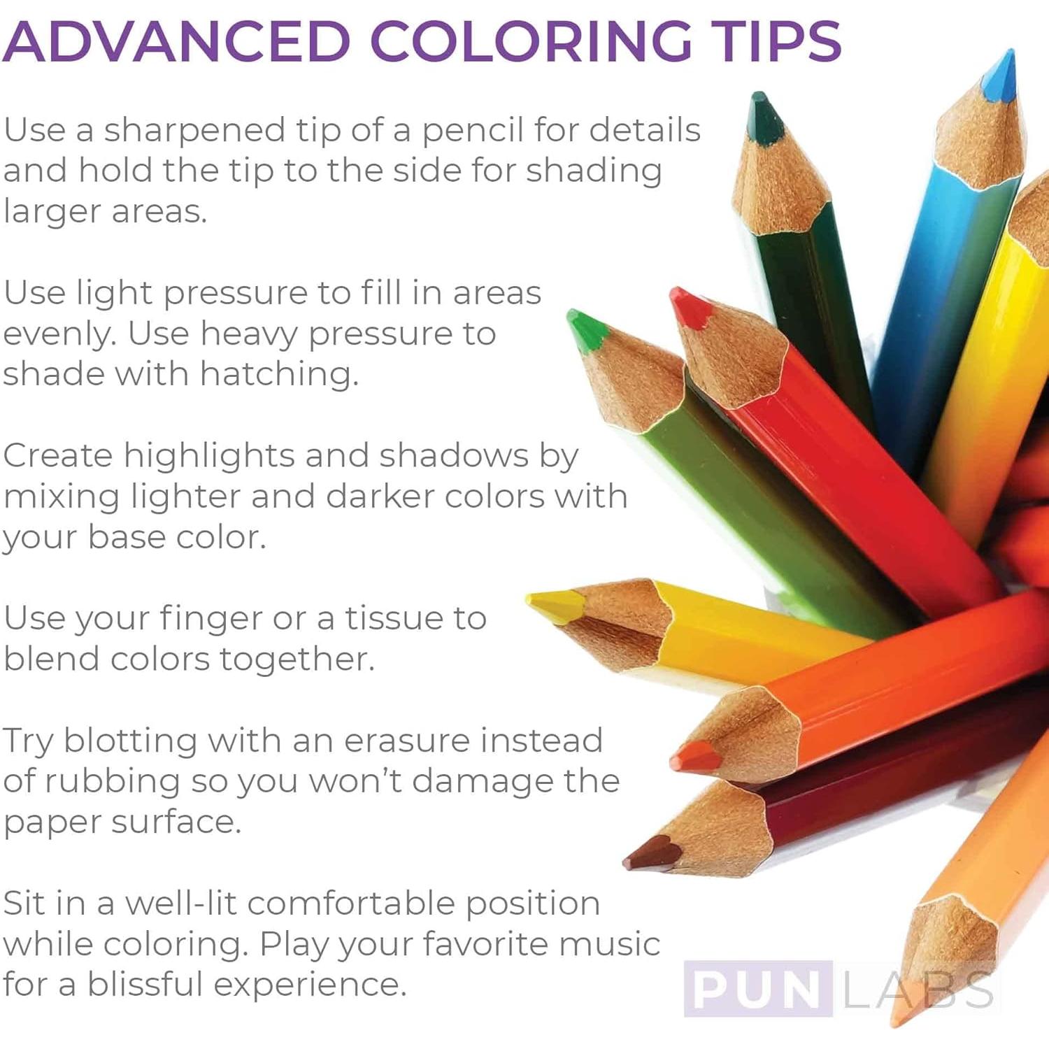 Conjunto de Lápices de Colores Gotta Color Them All - 12 Piezas