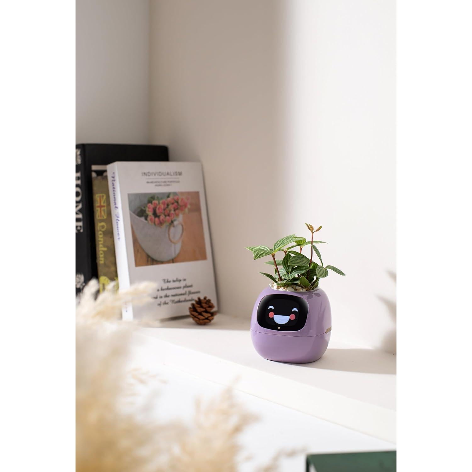 Maceta Inteligente Moltrion con Sensores y Control por Gestos