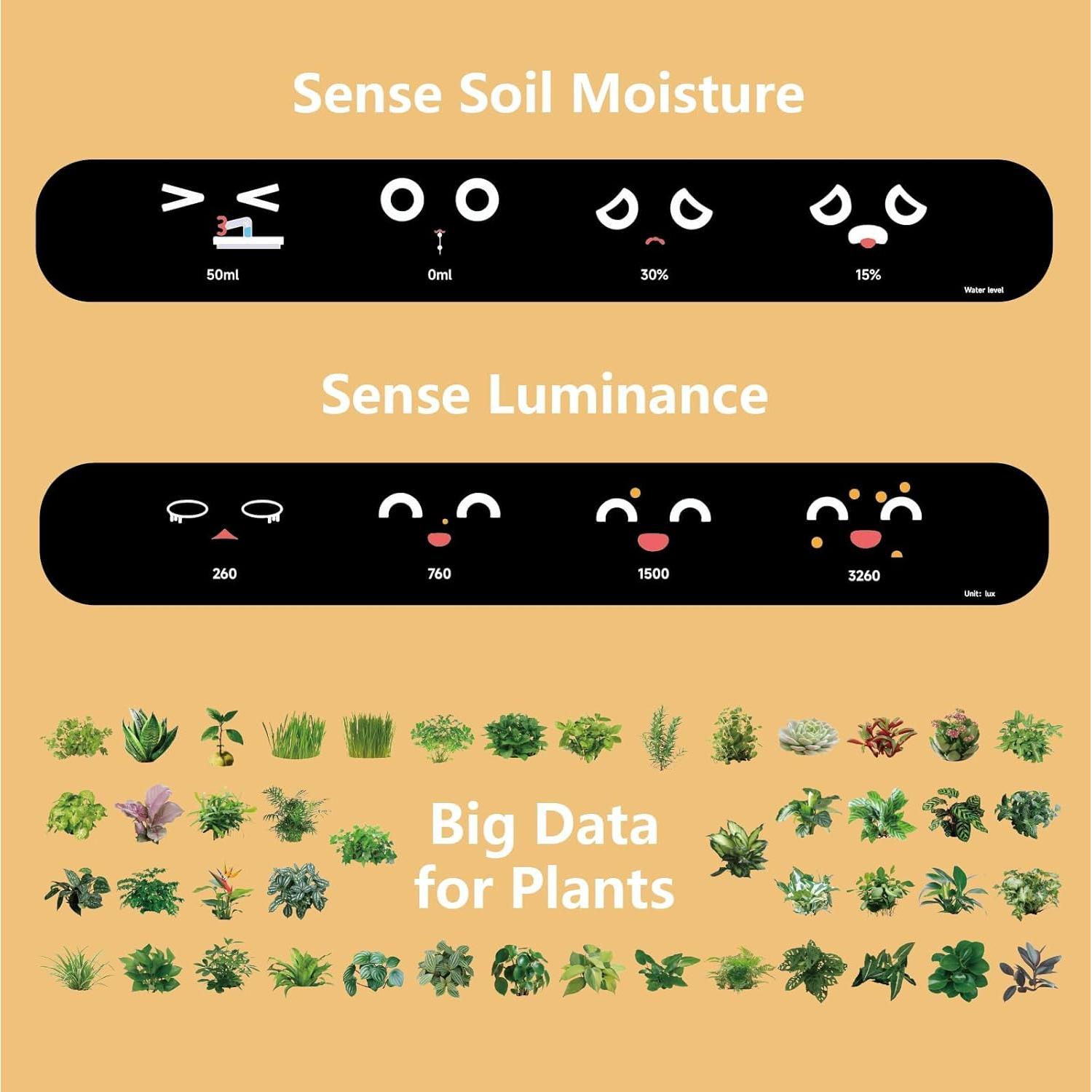 Maceta Inteligente Moltrion con Sensores y Control por Gestos
