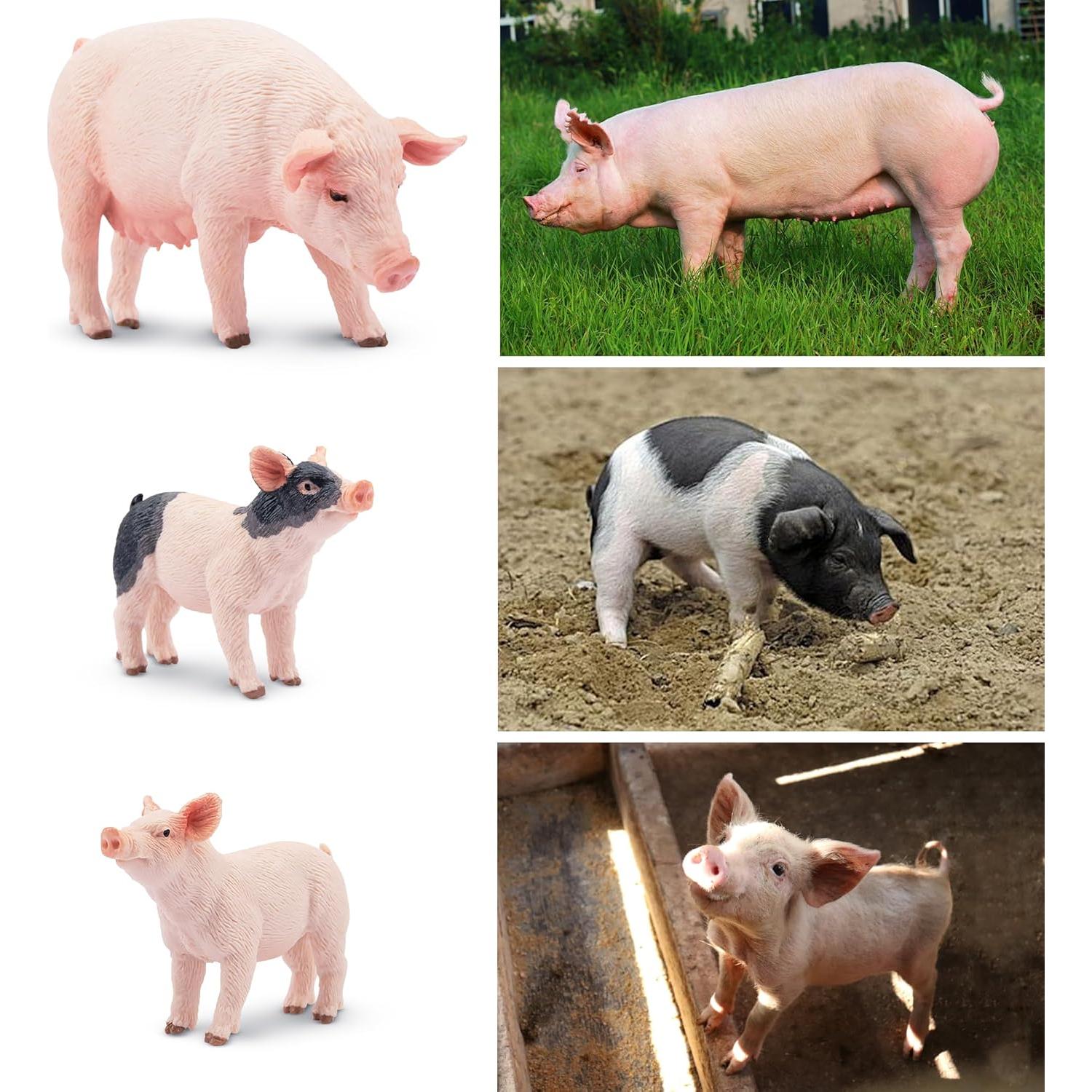Conjunto de Figuras de Cerdo 8PCS Toymany Realistas