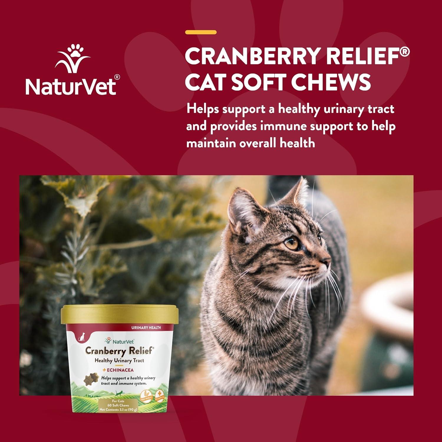 NaturVet Suplemento para Gatos Alivio de Arándano 60 Masticables