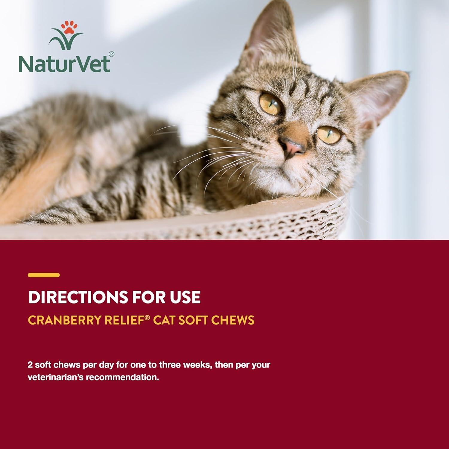 NaturVet Suplemento para Gatos Alivio de Arándano 60 Masticables