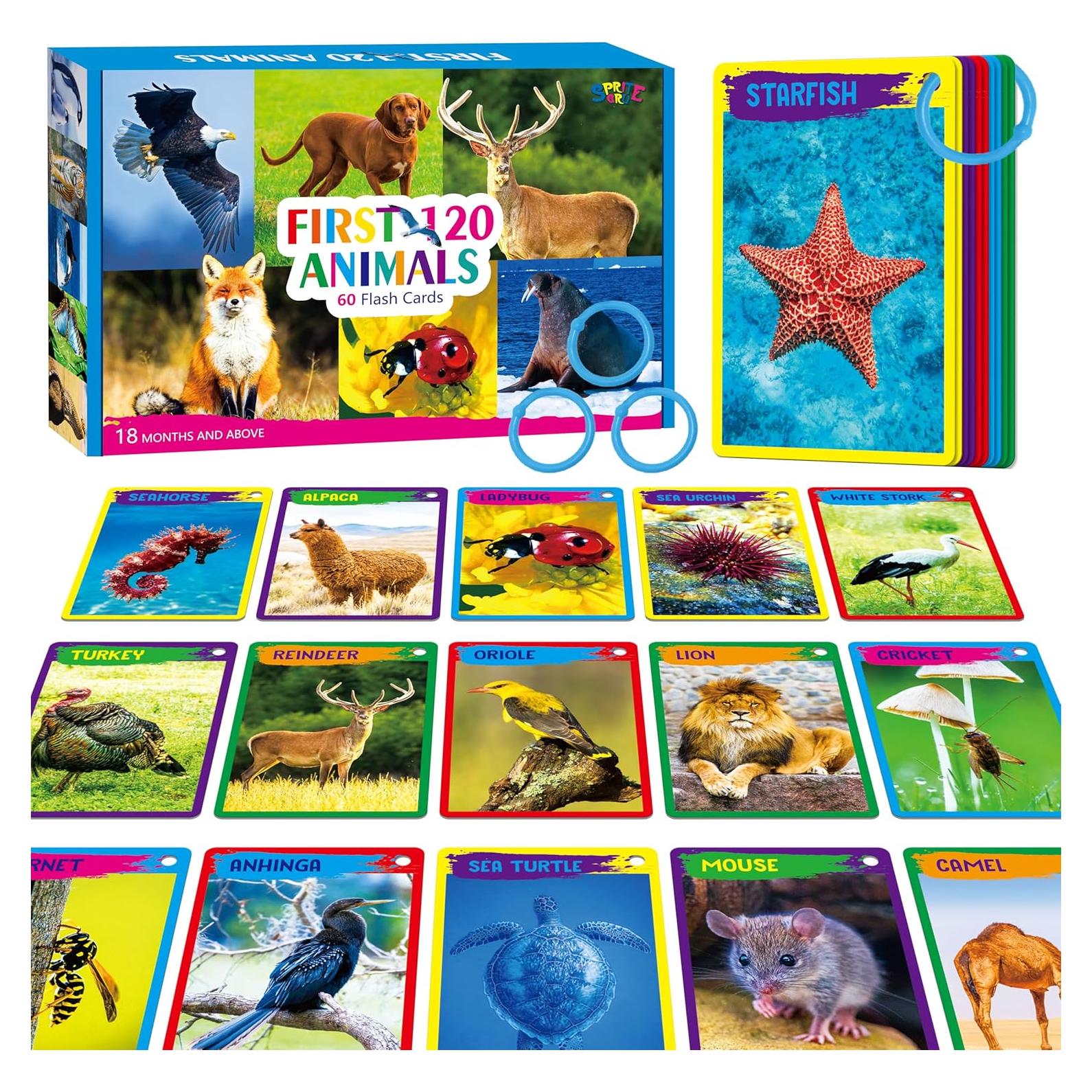 Tarjetas Didácticas de Animales 60PCS SpriteGru