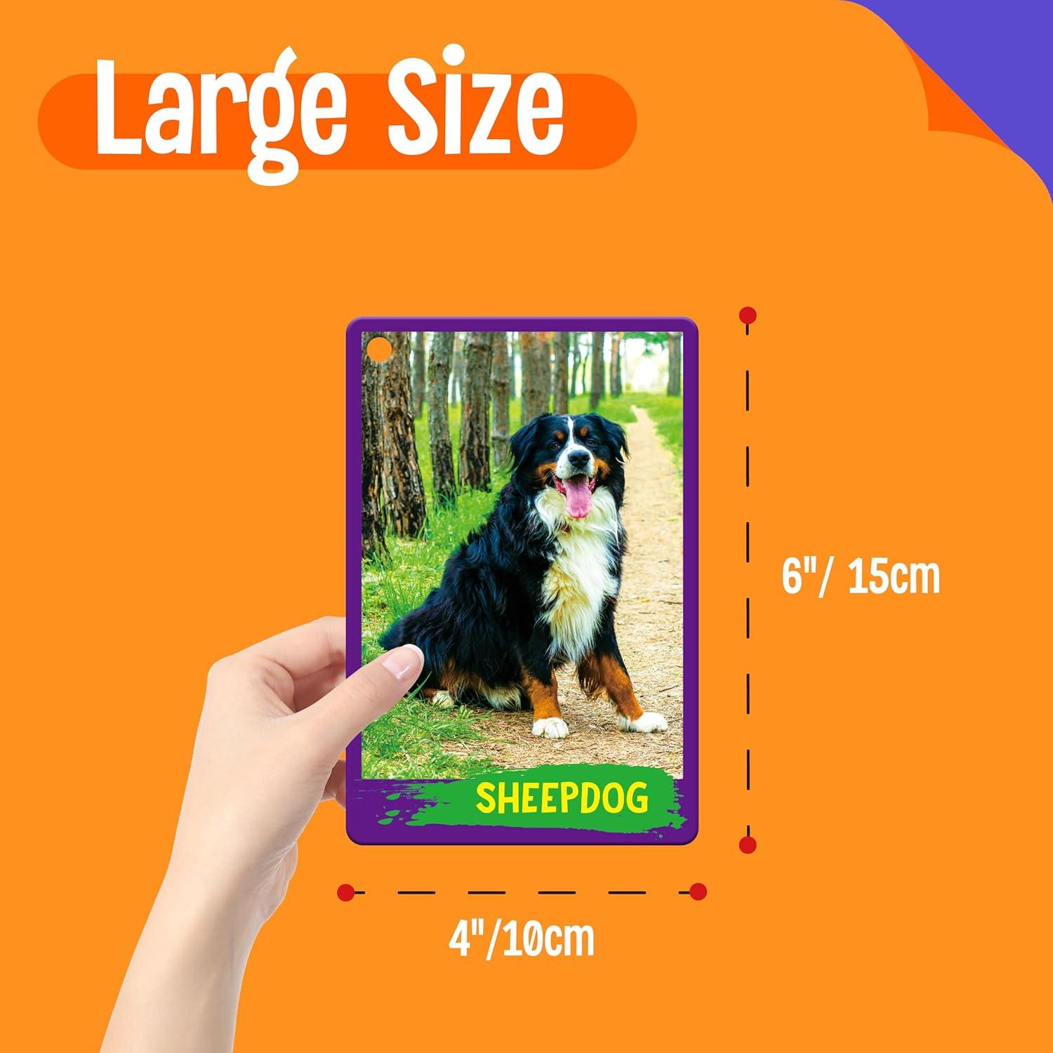 Tarjetas Didácticas de Animales 60PCS SpriteGru