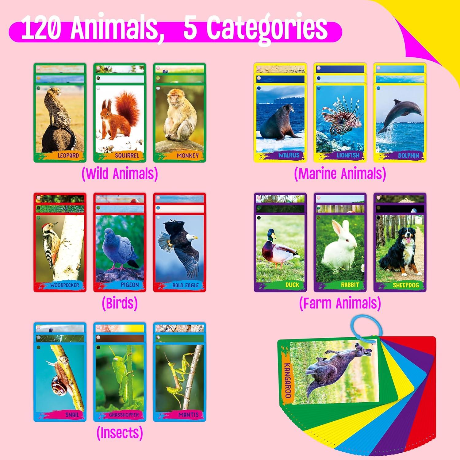 Tarjetas Didácticas de Animales 60PCS SpriteGru