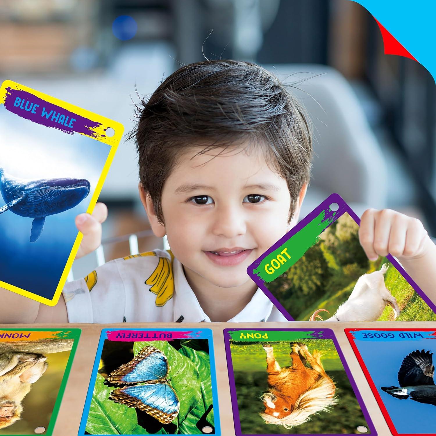 Tarjetas Didácticas de Animales 60PCS SpriteGru