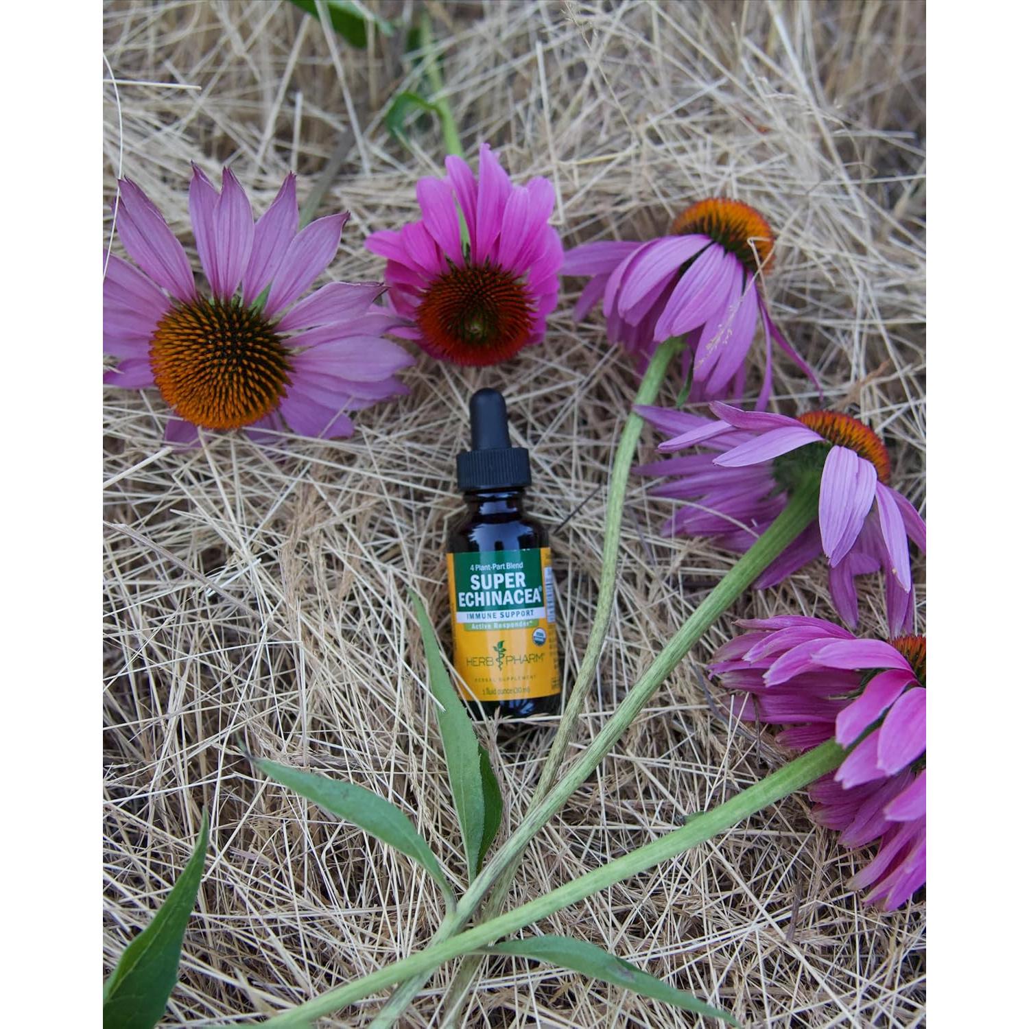 Extracto Líquido Echinacea Super Orgánica Herb Pharm 30 ml