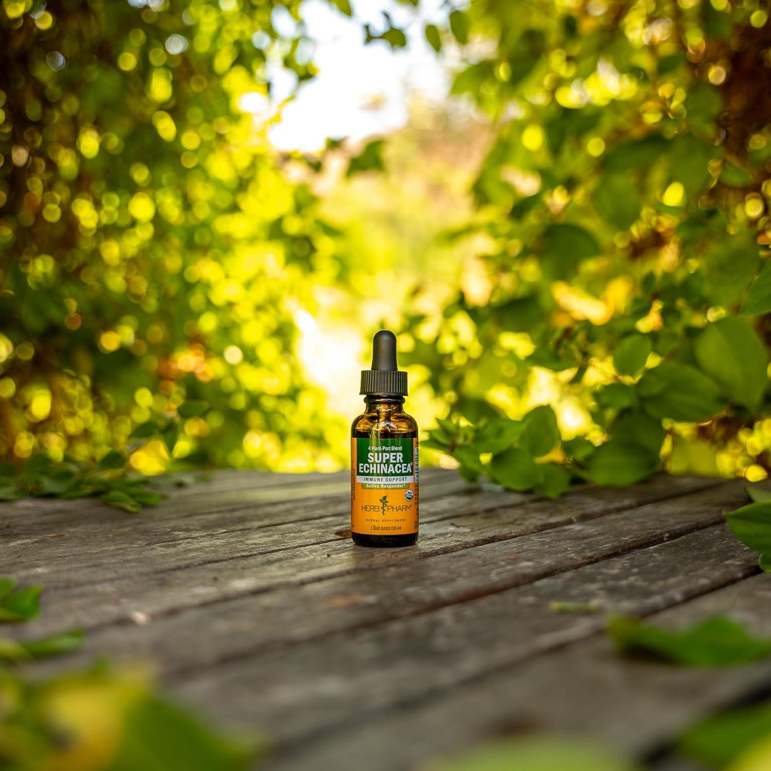 Extracto Líquido Echinacea Super Orgánica Herb Pharm 30 ml