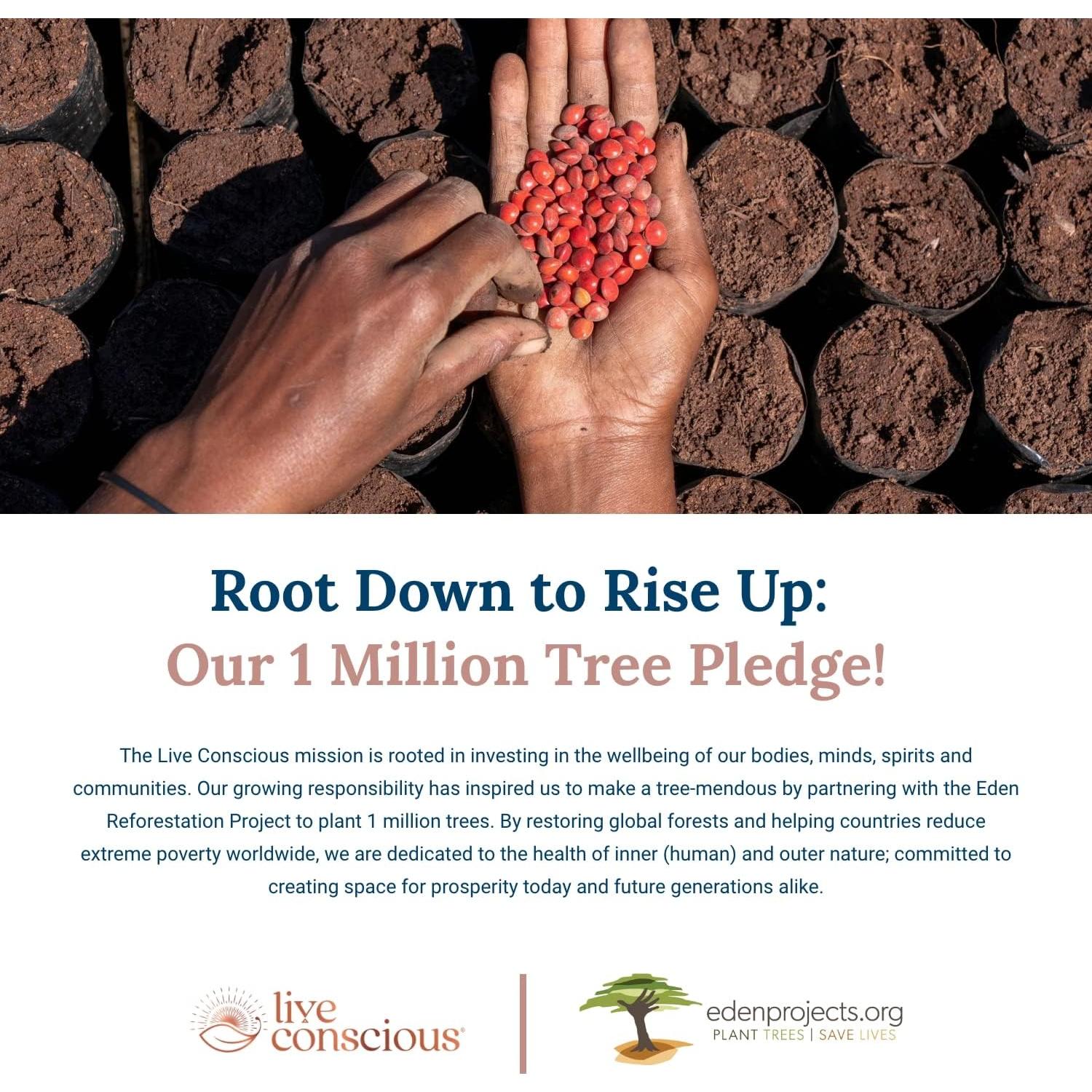 Suplemento Ashwagandha KSM-66 Live Conscious 60 Cápsulas